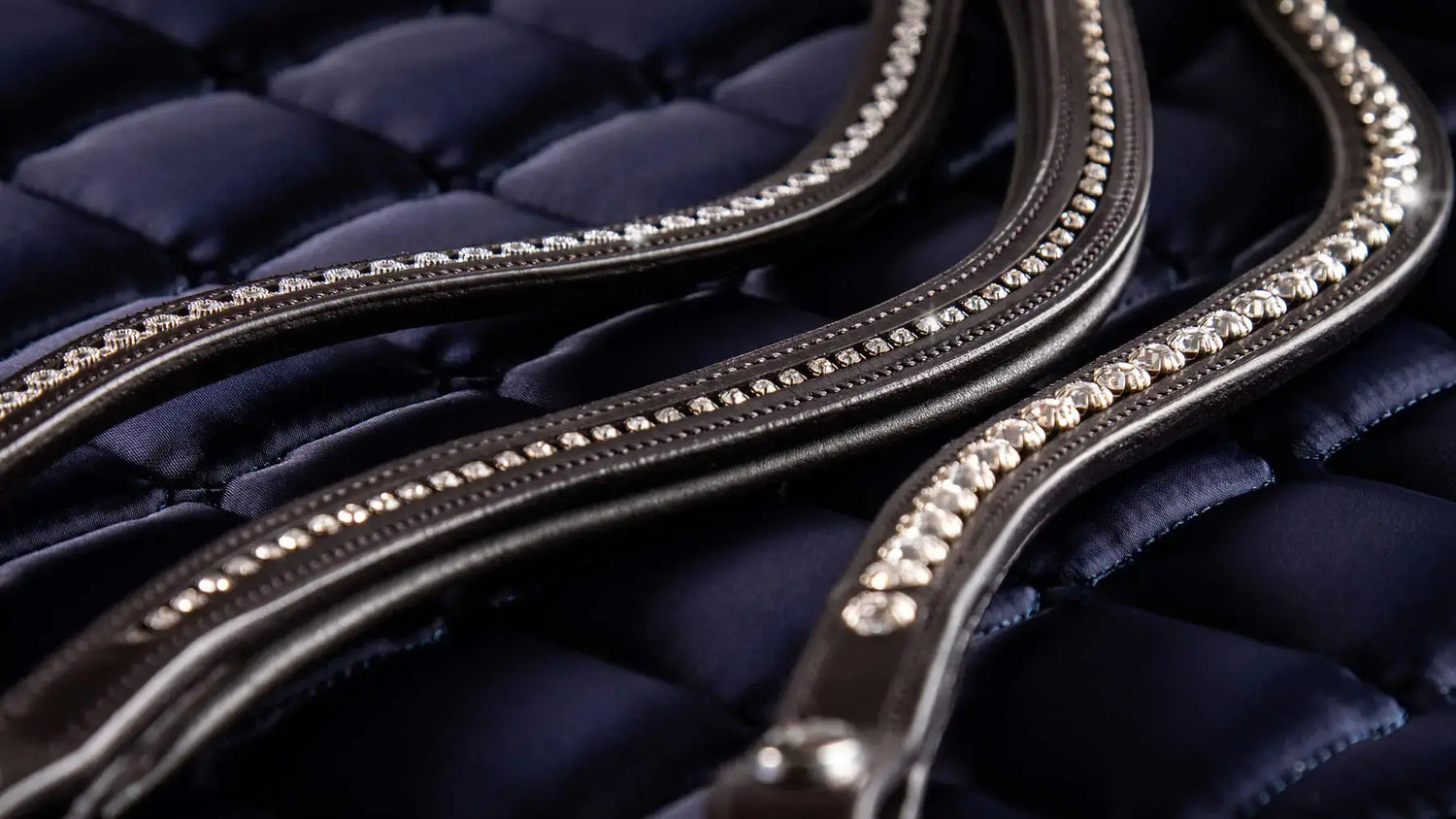 Browbands and Fly Veils