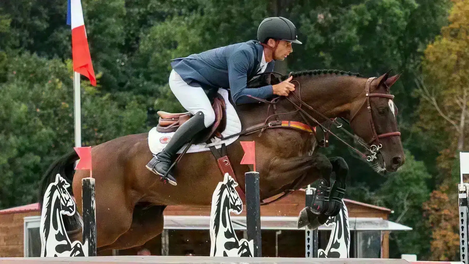 Tendon and Fetlock Boots