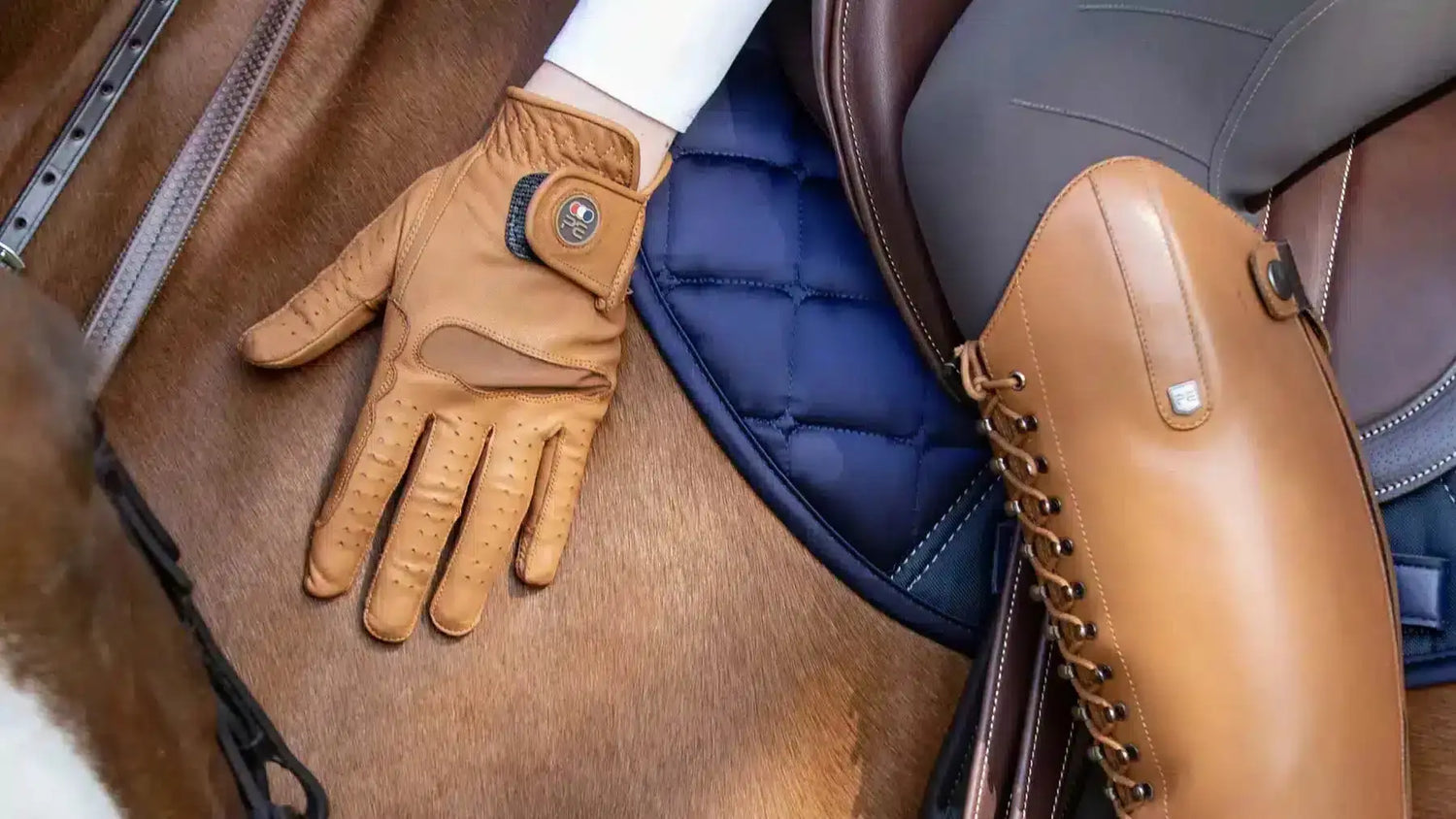 Riding Gloves and Accessories