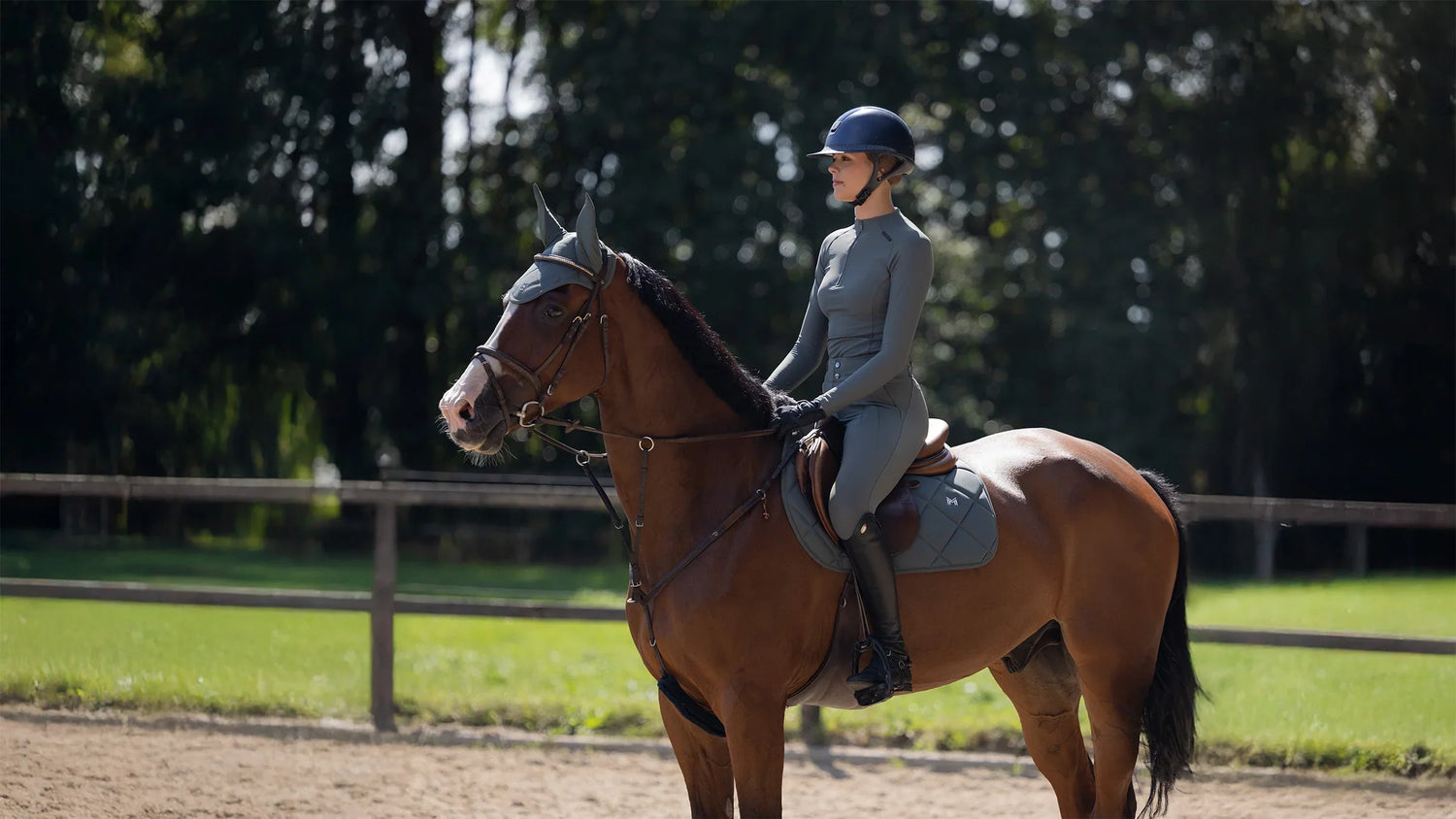 Maximilian Equestrian