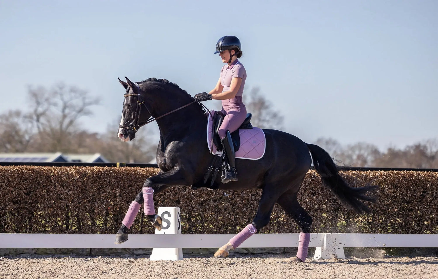 Leggings and Breeches