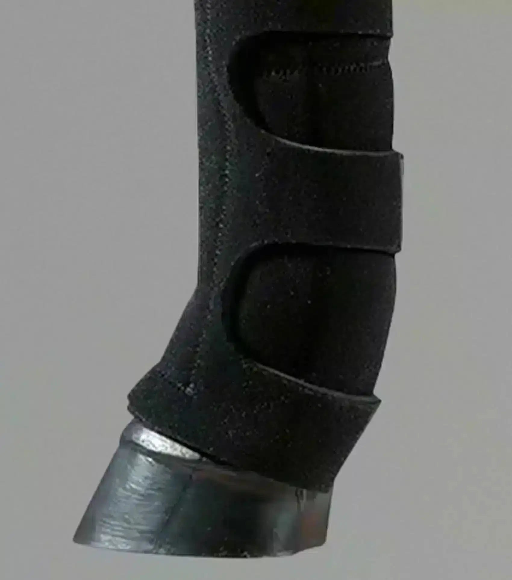 Premier Equine 9 Pocket Horse Ice Boots by Premier Equine at Try A Bit