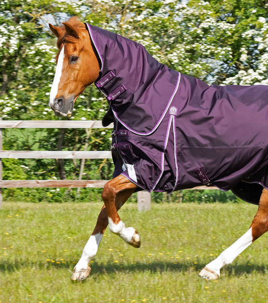 Premier Equine Buster 70g Turnout Rug with Classic Neck Cover by Premier Equine at  Try a Bit