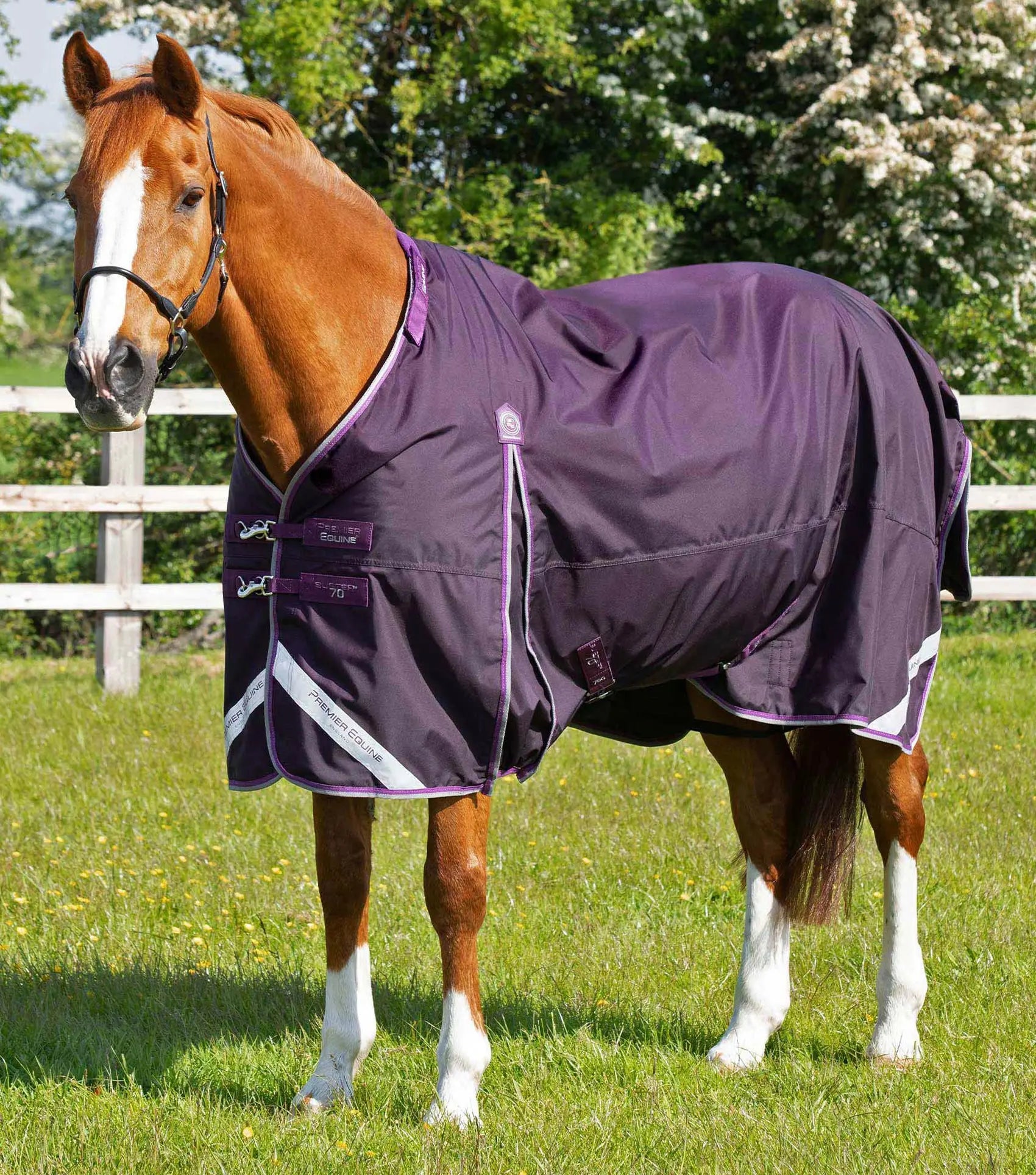 Premier Equine Buster 70g Turnout Rug with Classic Neck Cover by Premier Equine at Try a Bit