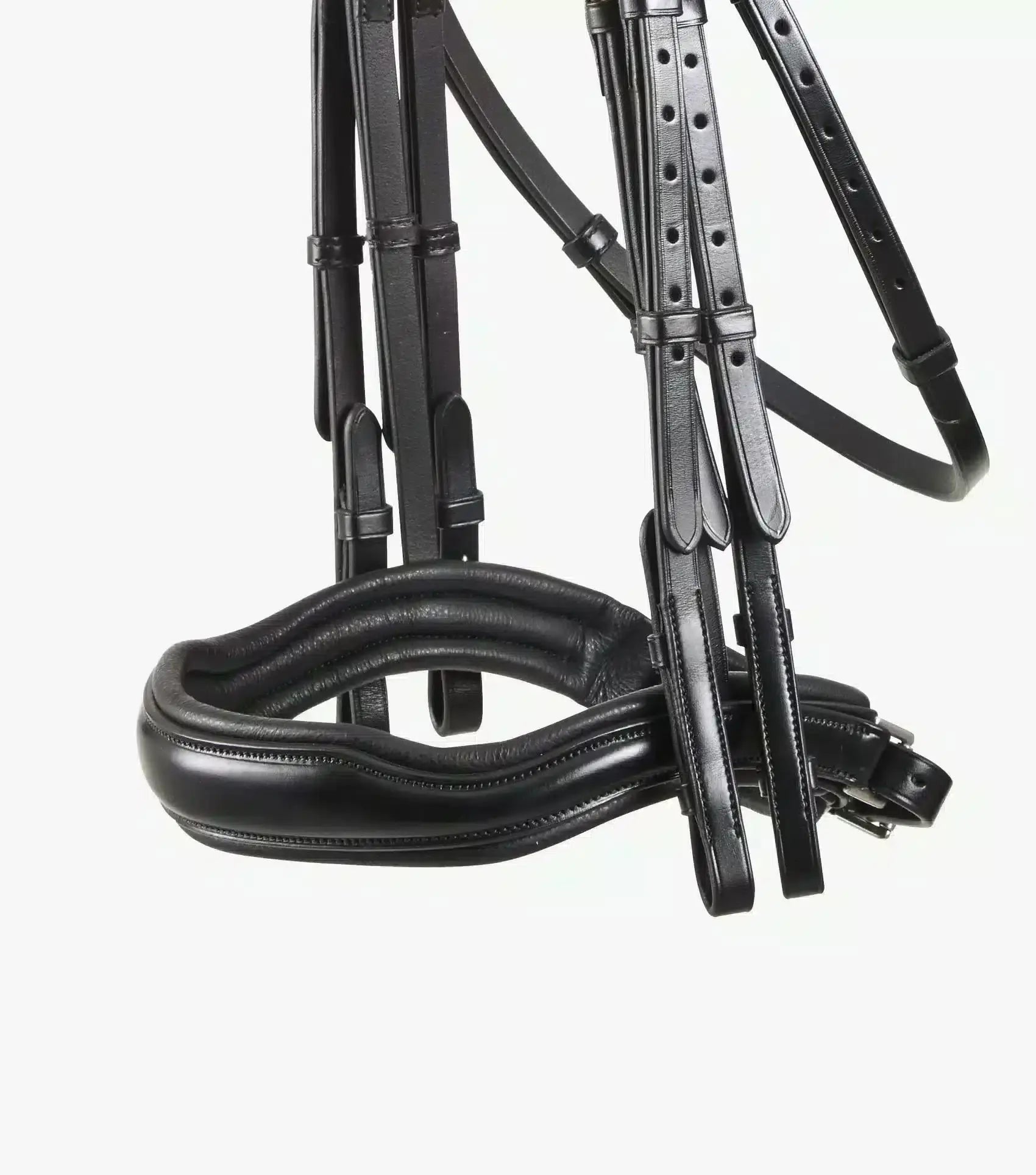 Premier Equine Abriano Anatomic Double Bridle by Premier Equine at Try a Bit