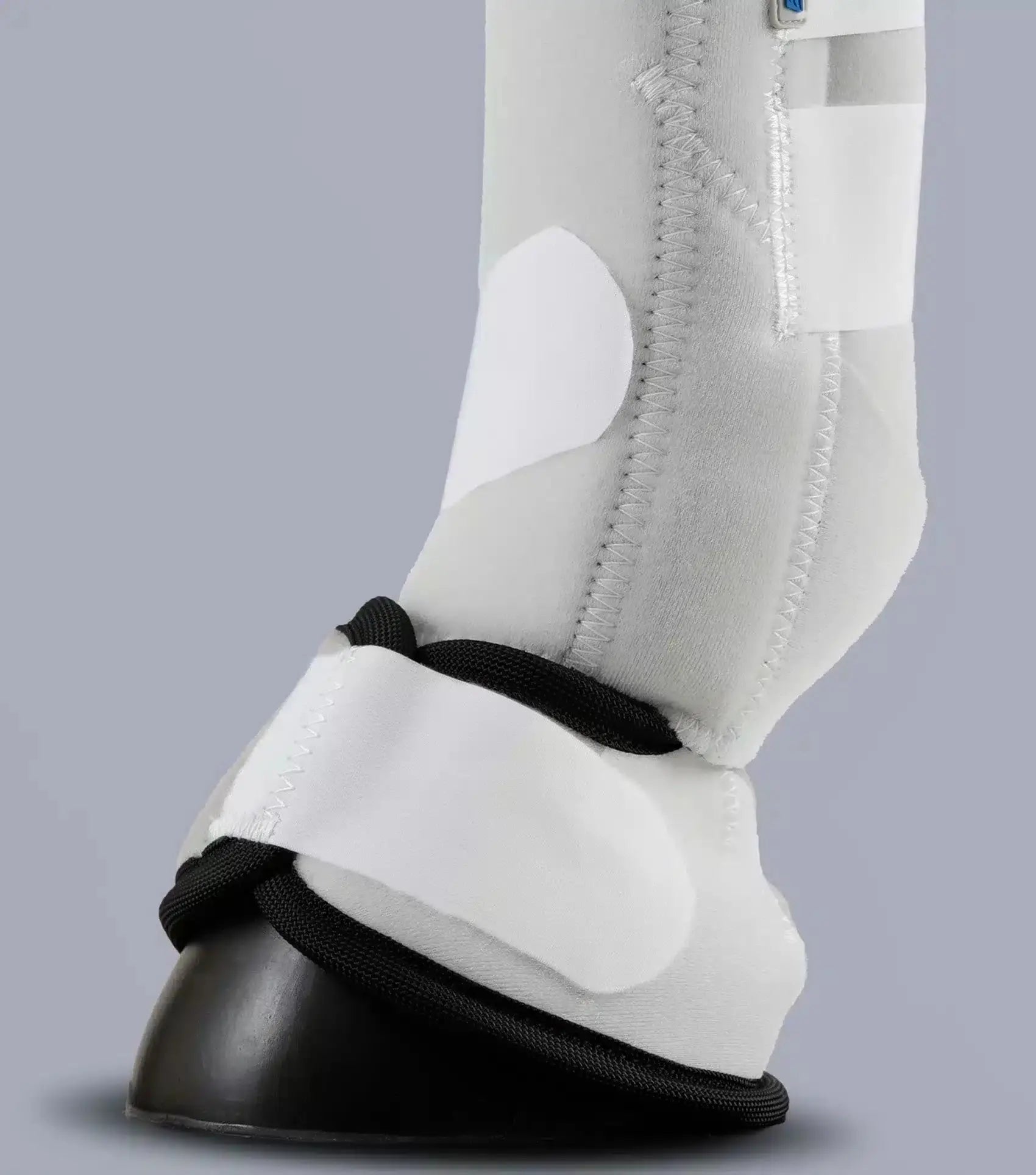 Premier Equine Air-Tech Combo Sports Medicine Boots by Premier Equine at Try A Bit