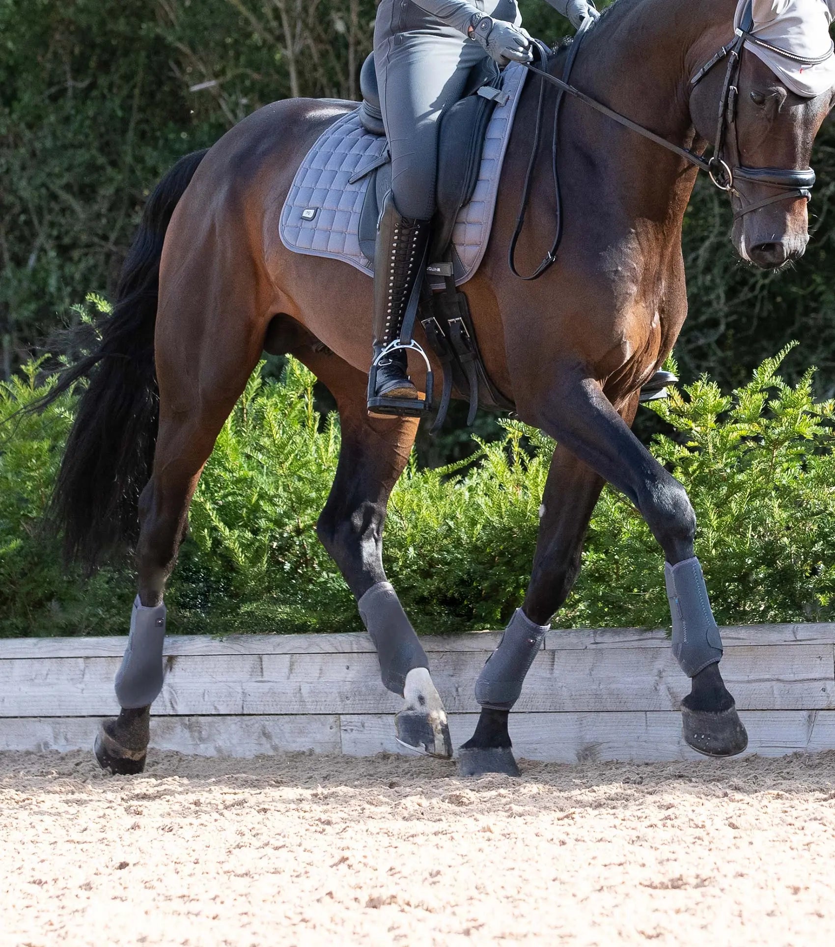 Premier Equine Air-Tech Sports Medicine Boots by Premier Equine at Try A Bit