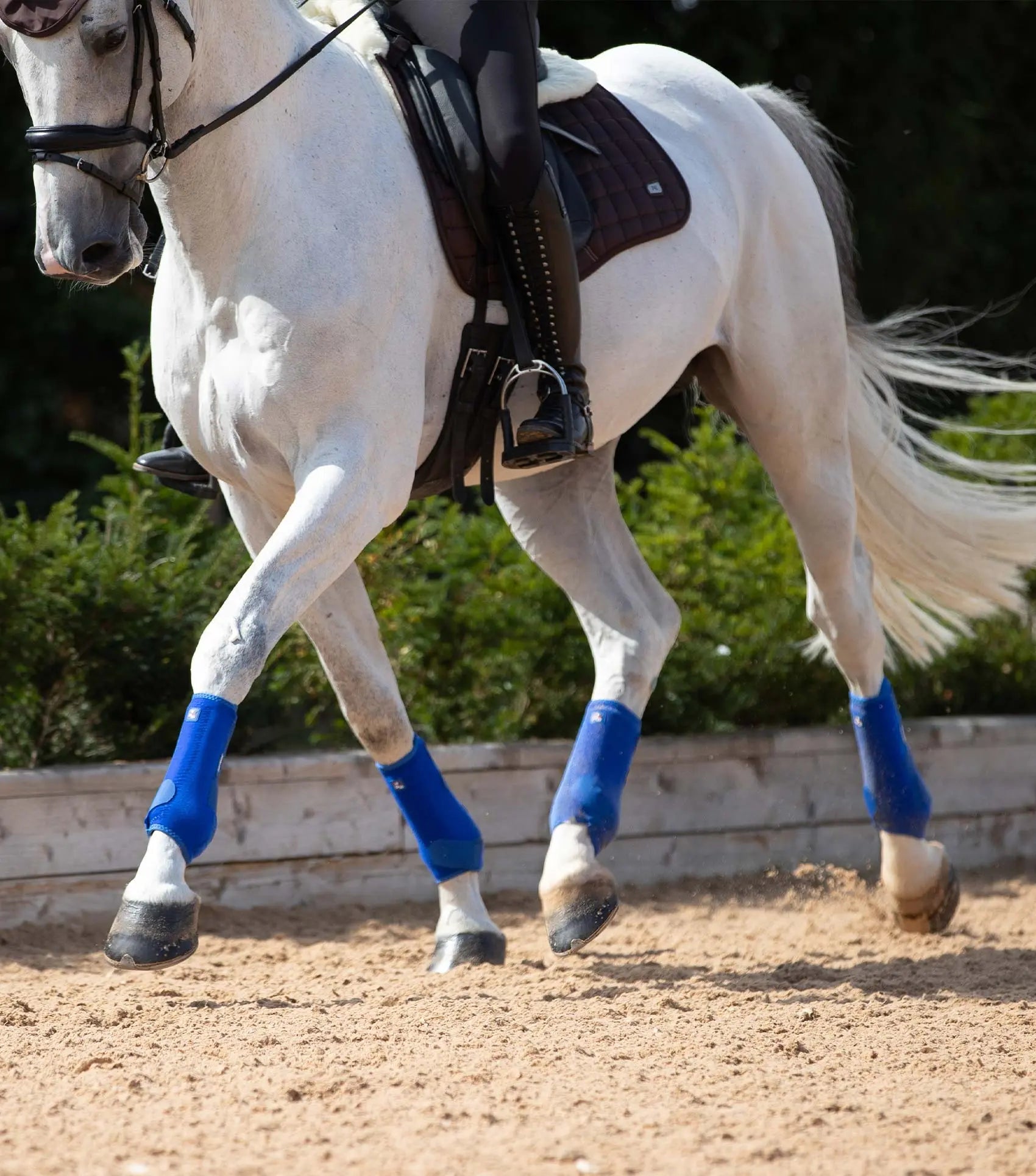 Premier Equine Air-Tech Sports Medicine Boots by Premier Equine at Try A Bit
