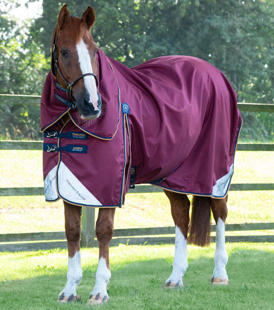 Premier Equine Akoni 0g Turnout Rug with Classic Neck Cover by Premier Equine at Try a Bit