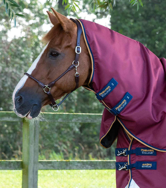 Premier Equine Akoni 0g Turnout Rug with Classic Neck Cover by Premier Equine at  Try a Bit