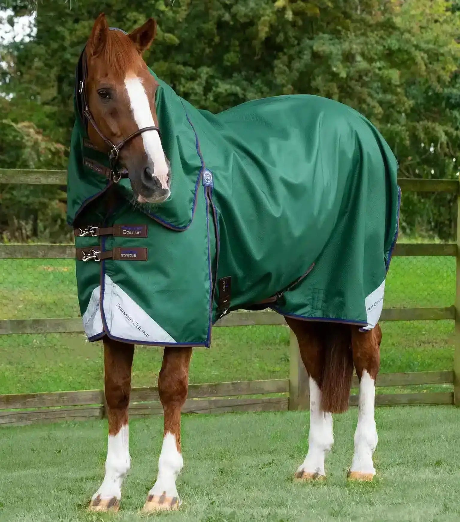 Premier Equine Akoni 0g Turnout Rug with Classic Neck Cover by Premier Equine at Try a Bit