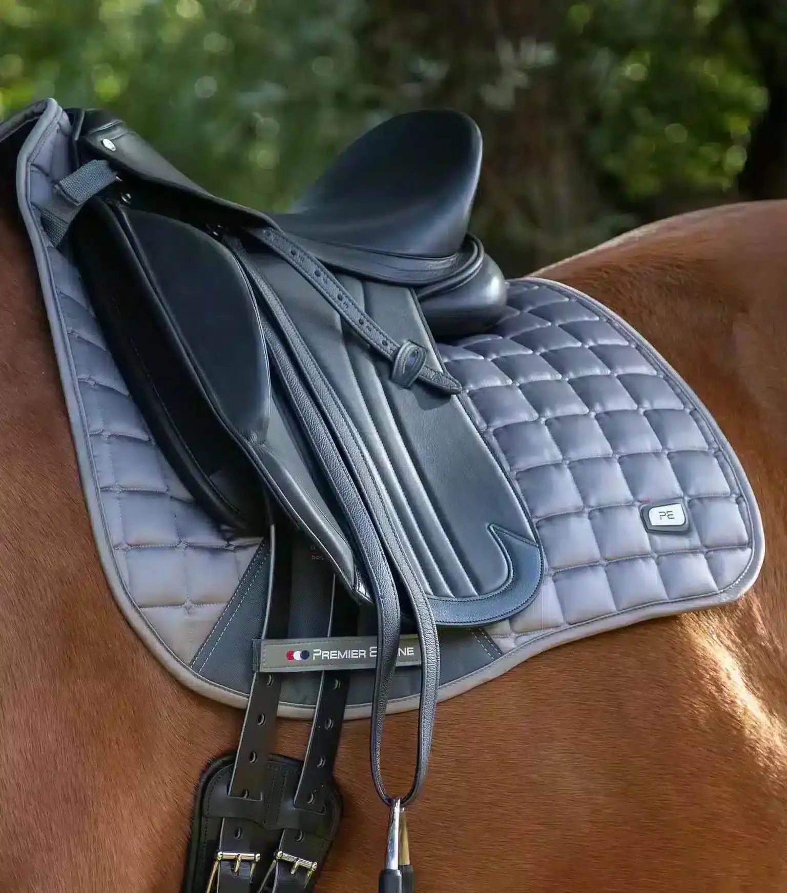 Premier Equine Alberta CC Satin Dressage Square by Premier Equine at Try a Bit