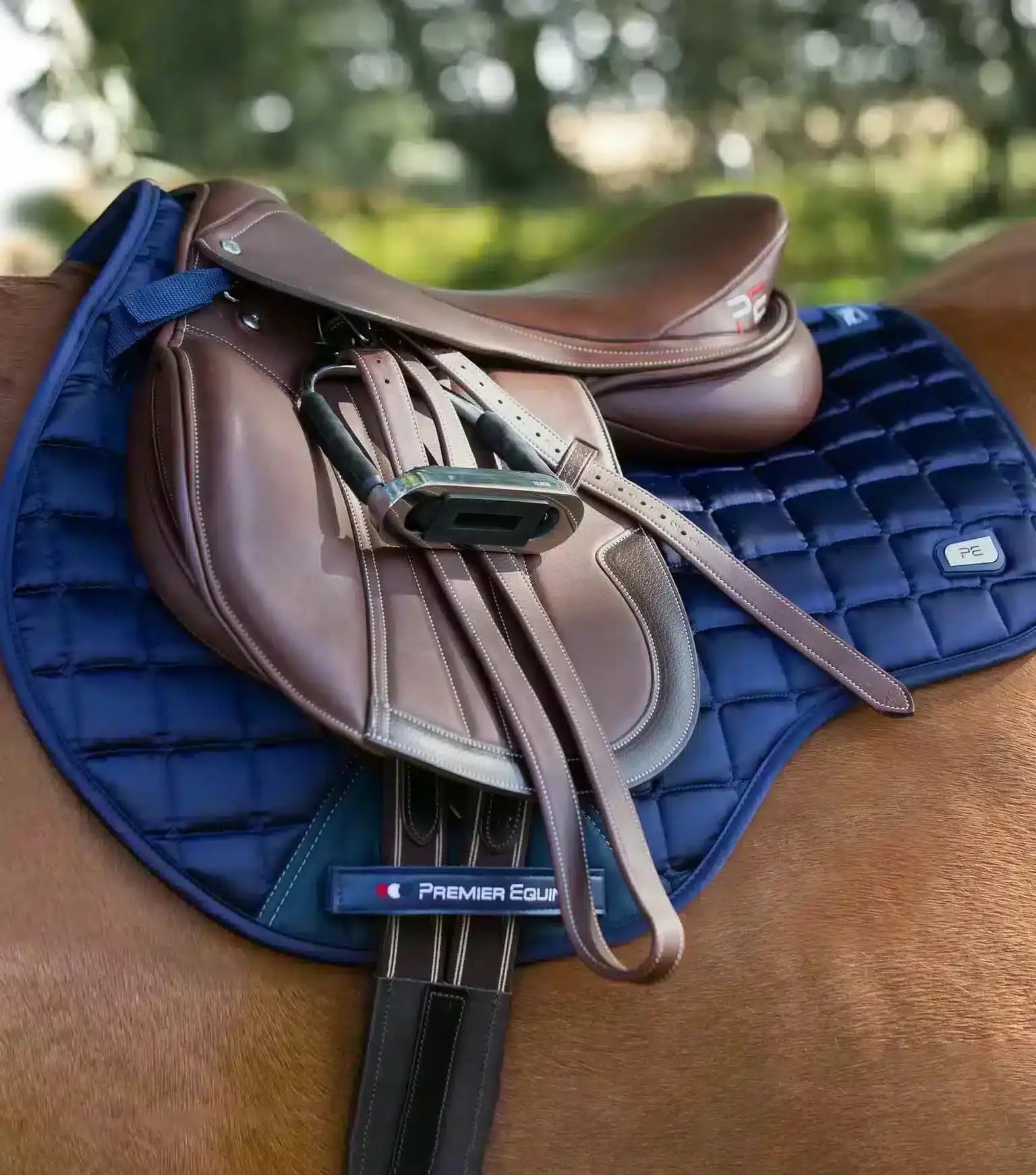 Premier Equine Alberta CC Satin GP/Jump Square by Premier Equine at Try a Bit