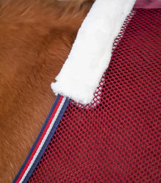 Premier Equine Arisca Scrim Cooler by Premier Equine at  Try a Bit