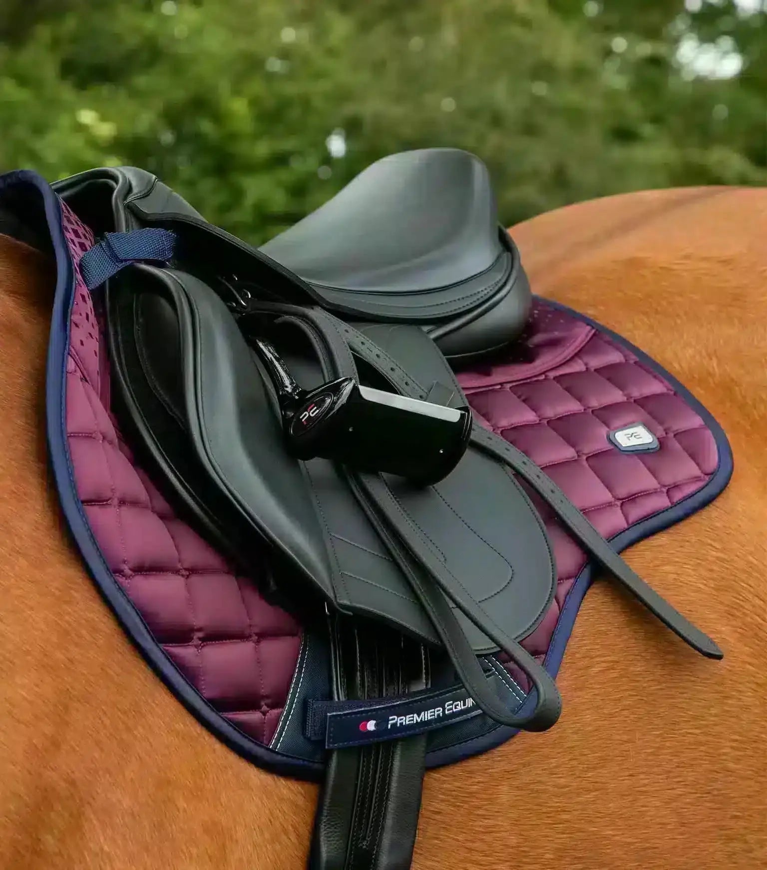 Premier Equine Armada Close Contact GP/Jump Square by Premier Equine at Try a Bit