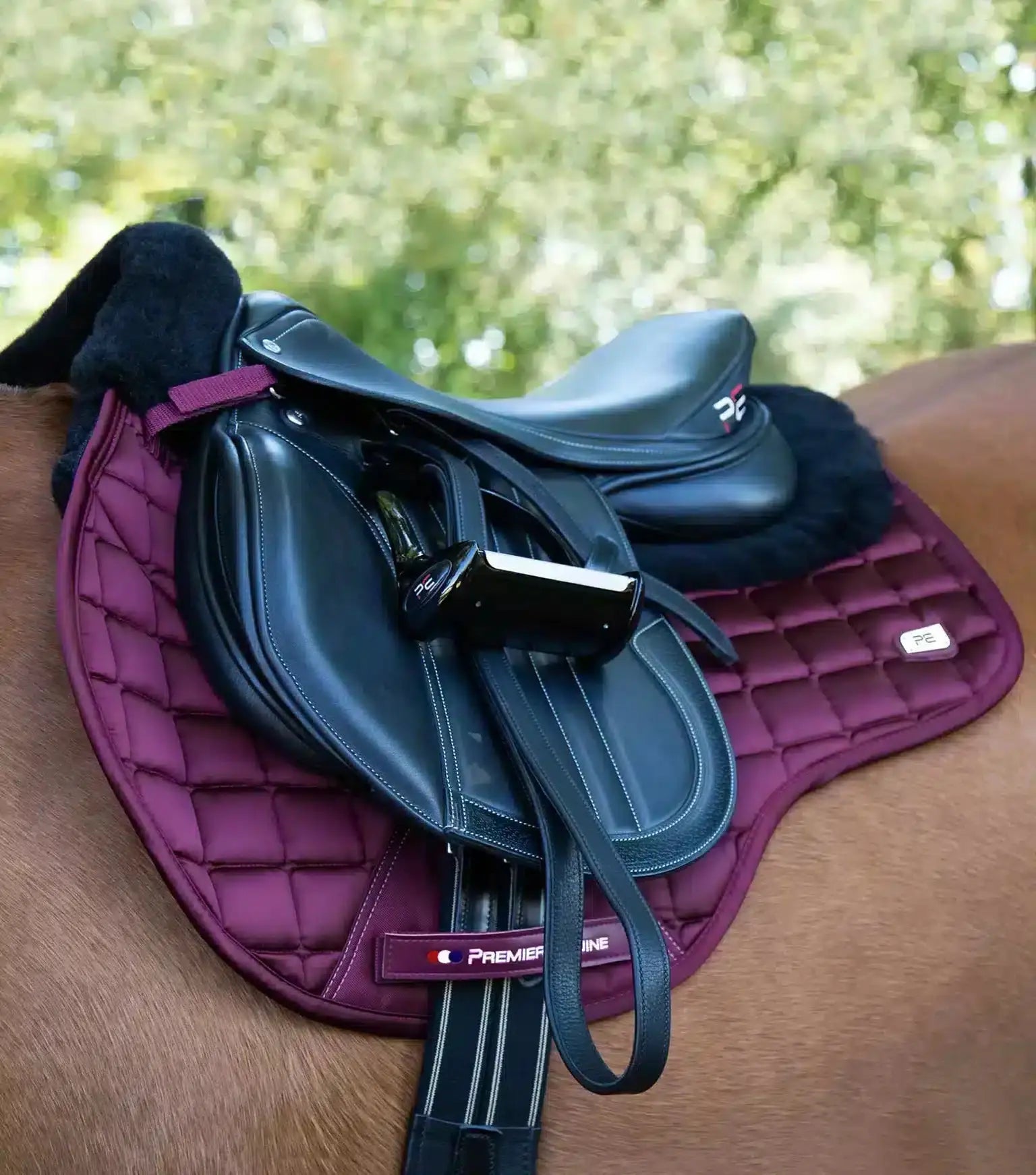Premier Equine Atlantis CC Satin Wool GP/Jump Square by Premier Equine at Try a Bit