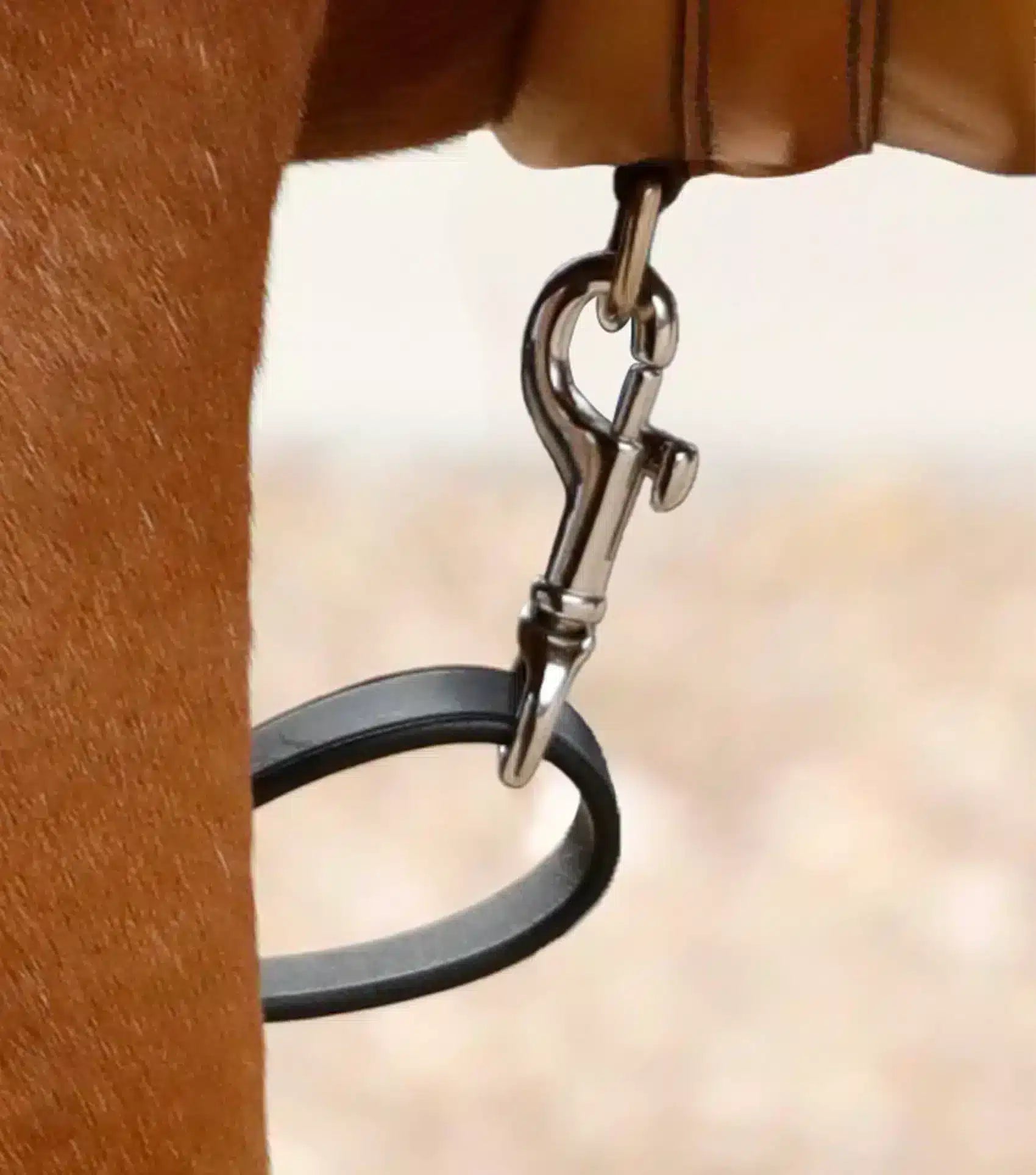 Premier Equine Baressa Elastic Jumping Breastplate by Premier Equine at Try a Bit
