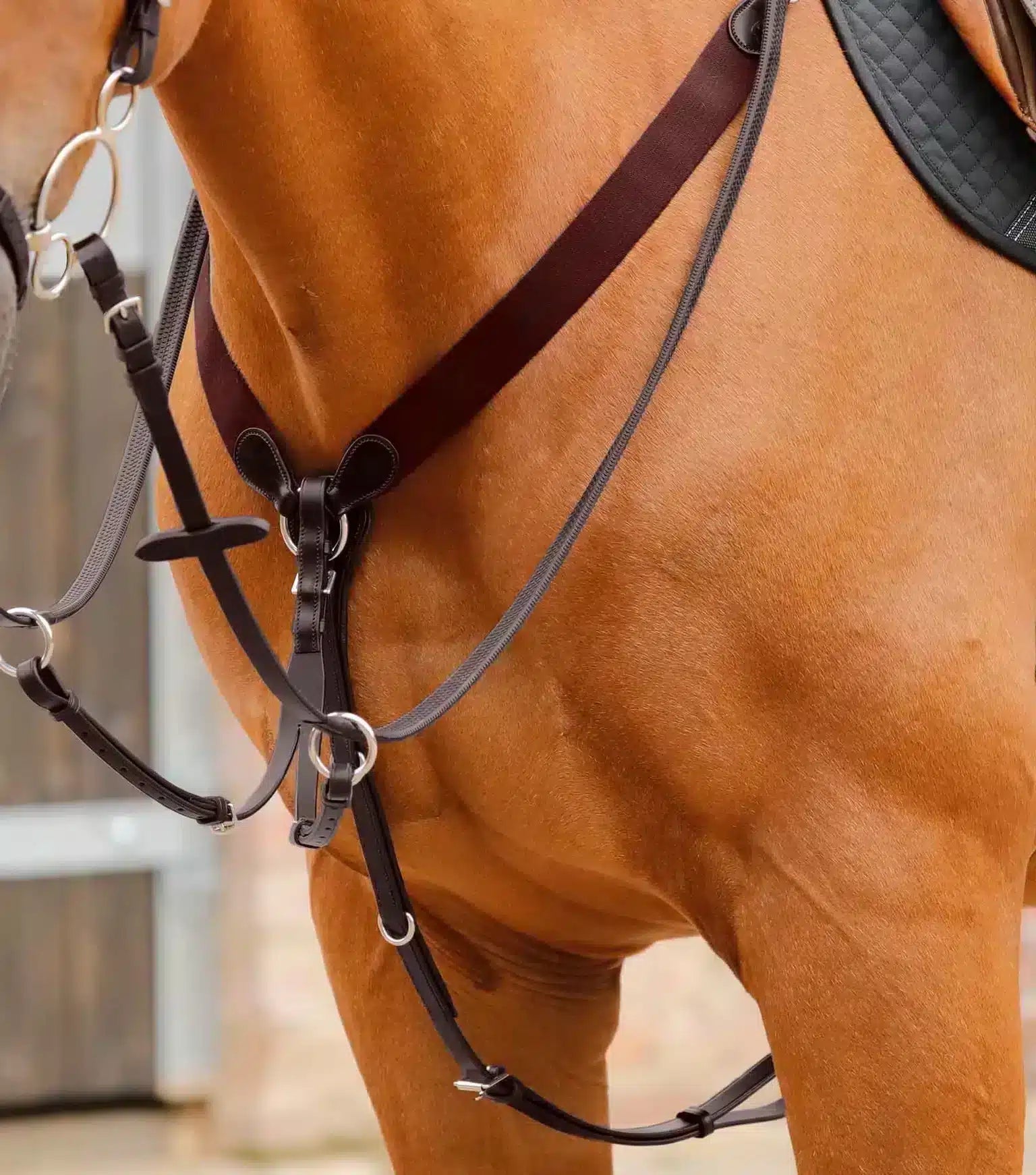 Premier Equine Baressa Elastic Jumping Breastplate by Premier Equine at Try a Bit