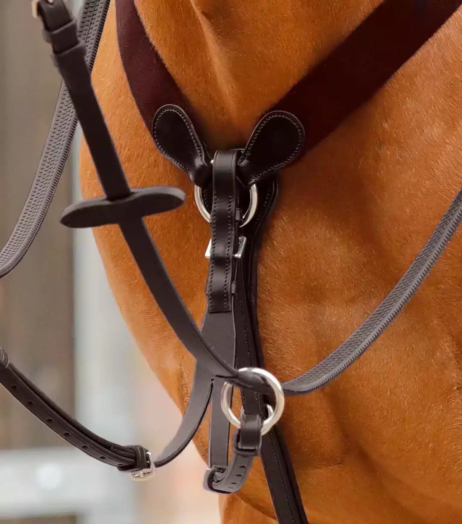 Premier Equine Baressa Elastic Jumping Breastplate by Premier Equine at Try a Bit