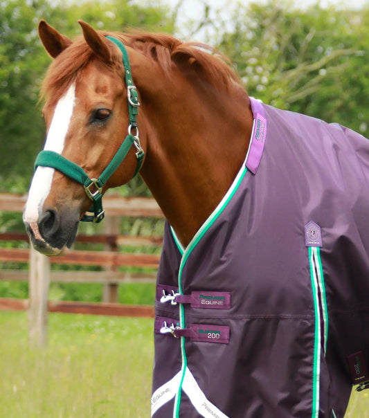 Premier Equine Buster 200g Turnout Rug with Snug-Fit Neck Cover by Premier Equine at  Try a Bit