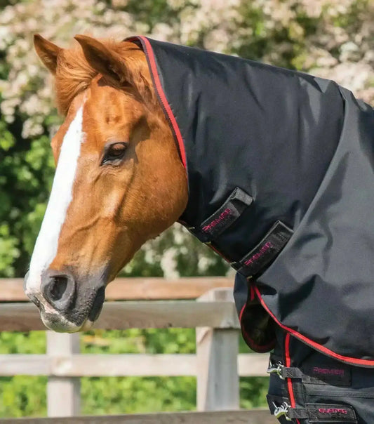 Premier Equine Buster 250g Turnout Rug with Classic Neck Cover by Premier Equine at  Try a Bit
