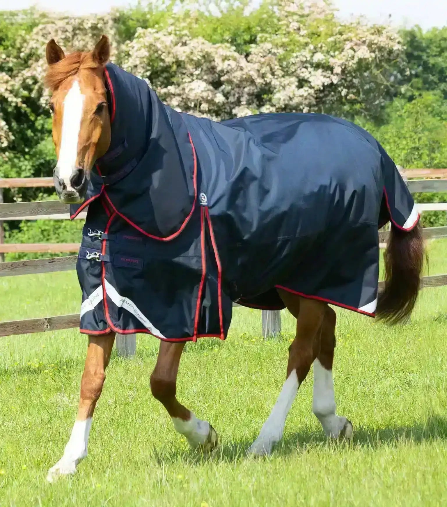 Premier Equine Buster 250g Turnout Rug with Classic Neck Cover by Premier Equine at Try a Bit