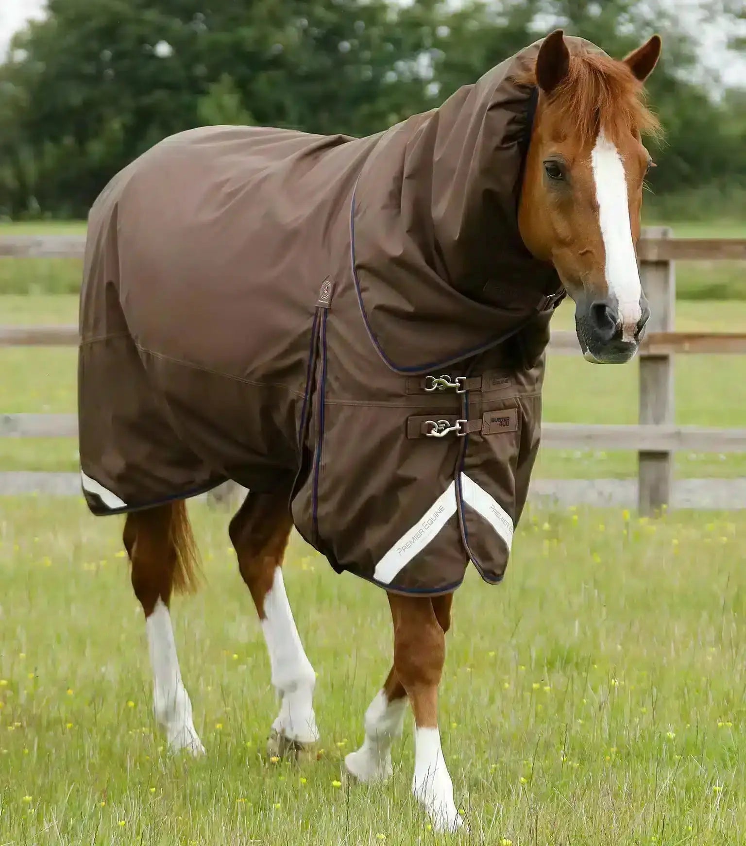 Premier Equine Buster 400g Turnout Rug with Snug-Fit Neck Cover by Premier Equine at Try a Bit