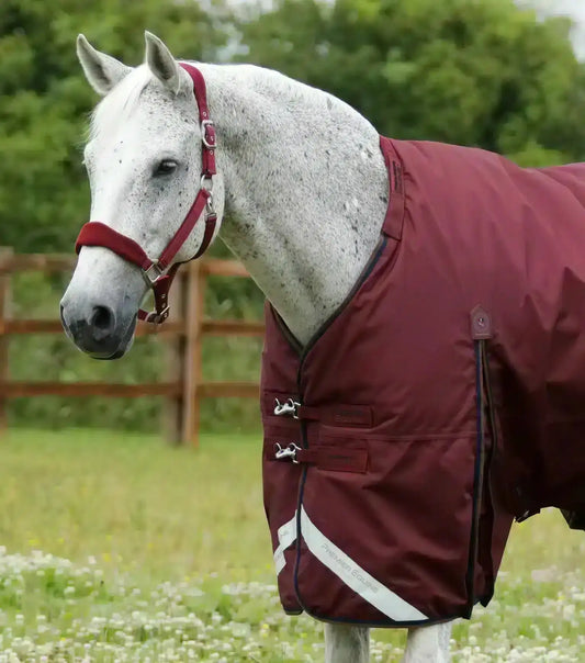 Premier Equine Buster 400g Turnout Rug with Snug-Fit Neck Cover by Premier Equine at  Try a Bit