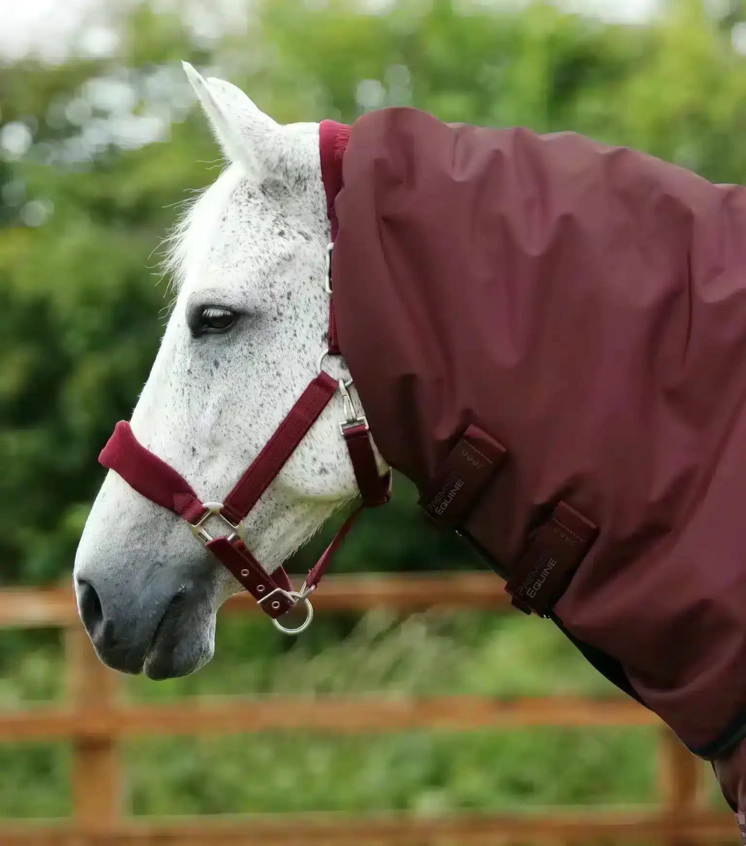 Premier Equine Buster 400g Turnout Rug with Snug-Fit Neck Cover by Premier Equine at Try a Bit