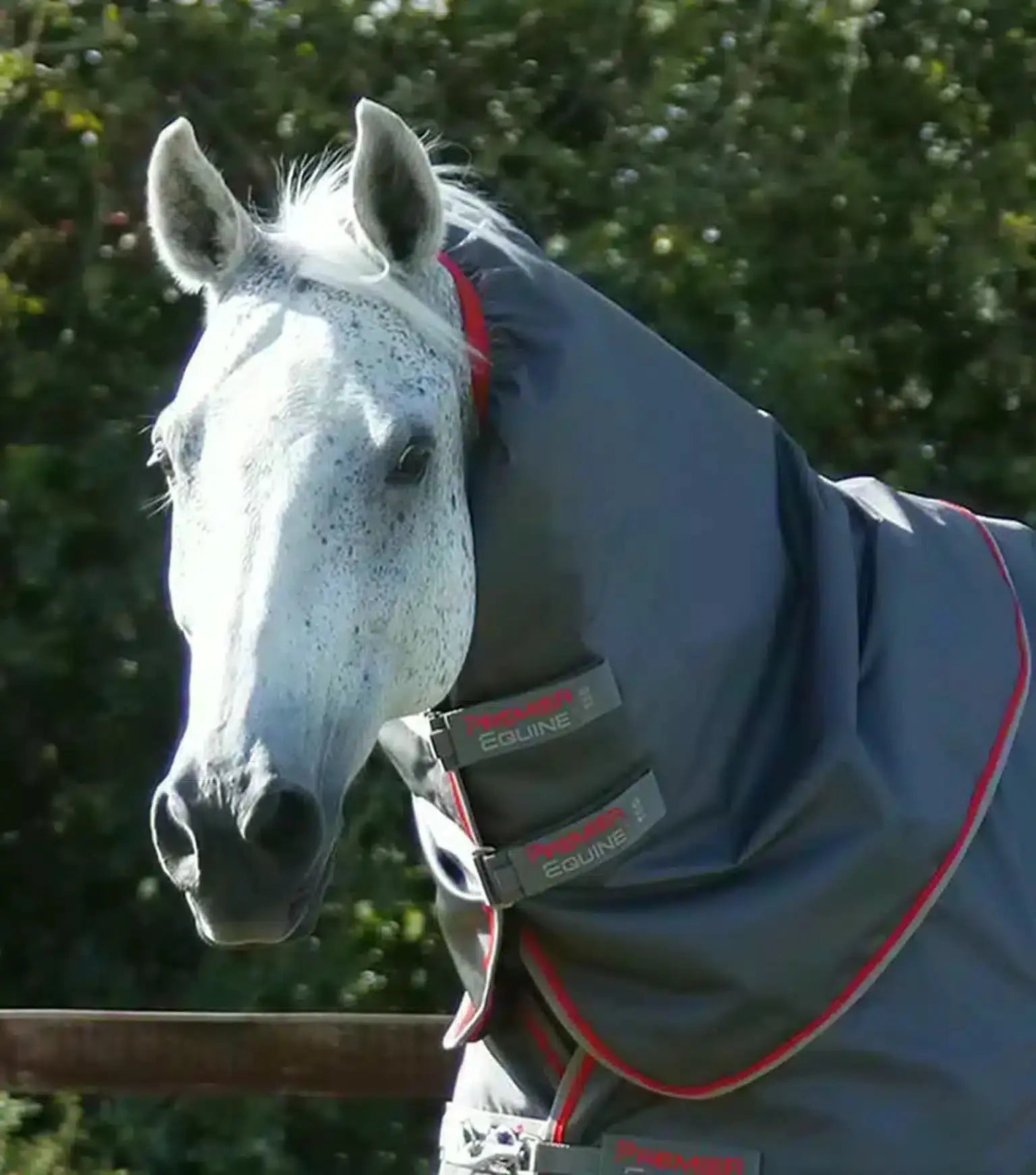 Premier Equine Buster 50g Turnout Rug with Snug-Fit Neck Cover by Premier Equine at Try a Bit