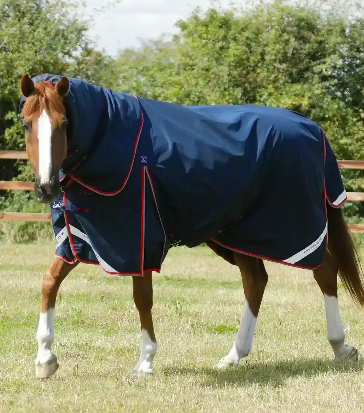 Premier Equine Buster 50g Turnout Rug with Snug-Fit Neck Cover by Premier Equine at Try a Bit