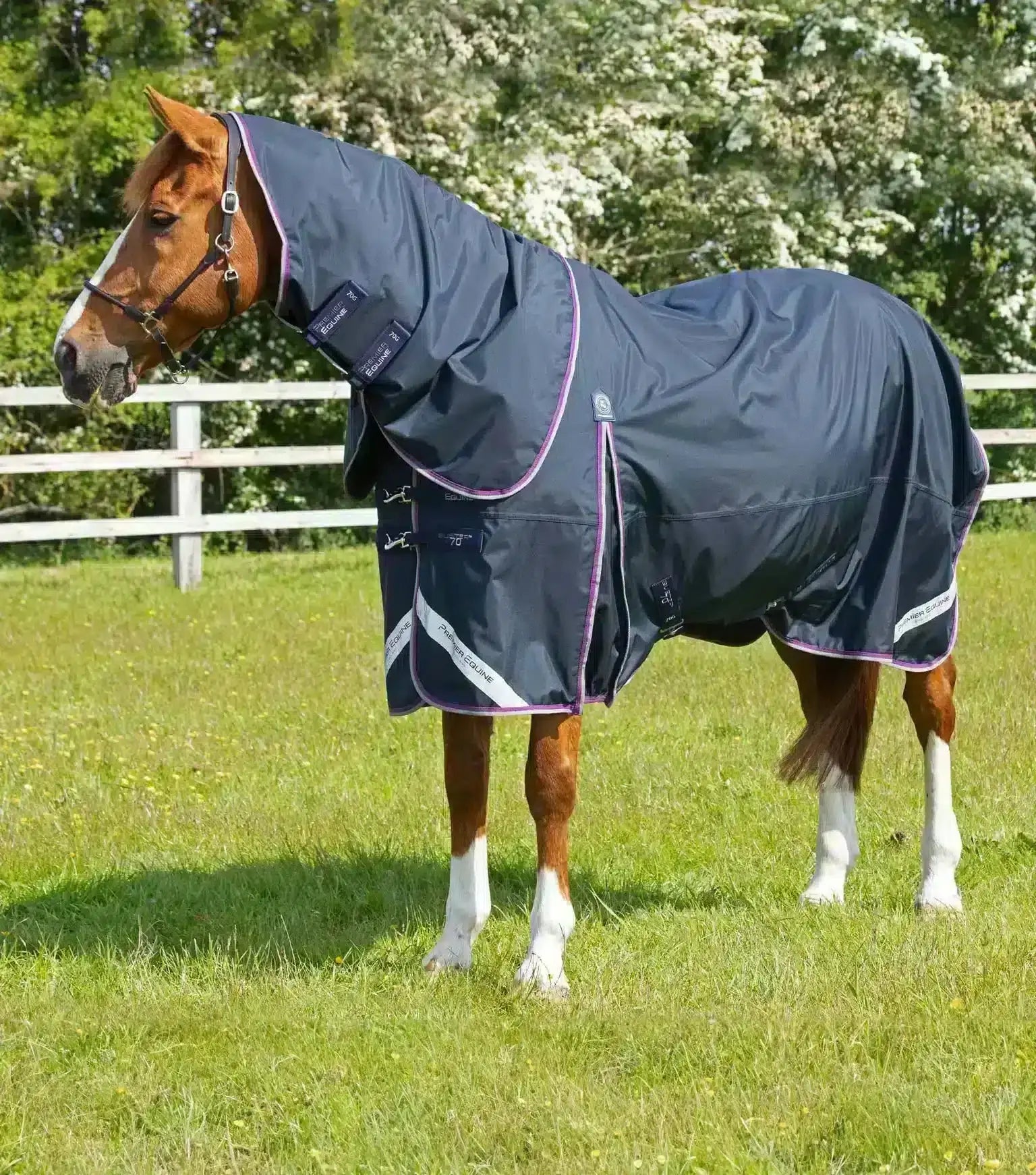 Premier Equine Buster 70g Turnout Rug with Classic Neck Cover by Premier Equine at Try a Bit