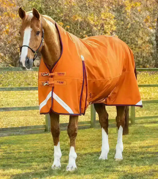 Premier Equine Buster Hardy 200g Half Neck Turnout Rug by Premier Equine at Try a Bit
