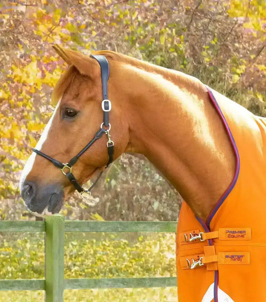 Premier Equine Buster Hardy 200g Half Neck Turnout Rug by Premier Equine at  Try a Bit