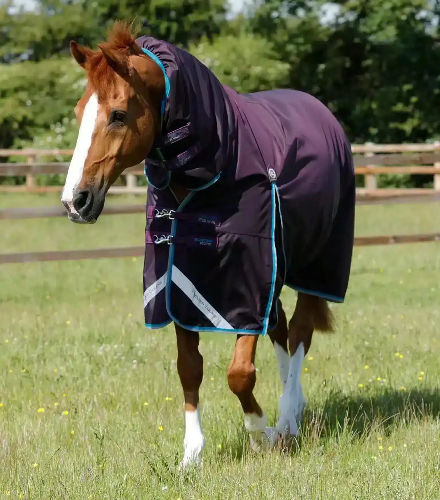 Premier Equine Buster Storm 100g Combo Turnout Rug with Snug-Fit Neck by Premier Equine at Try a Bit
