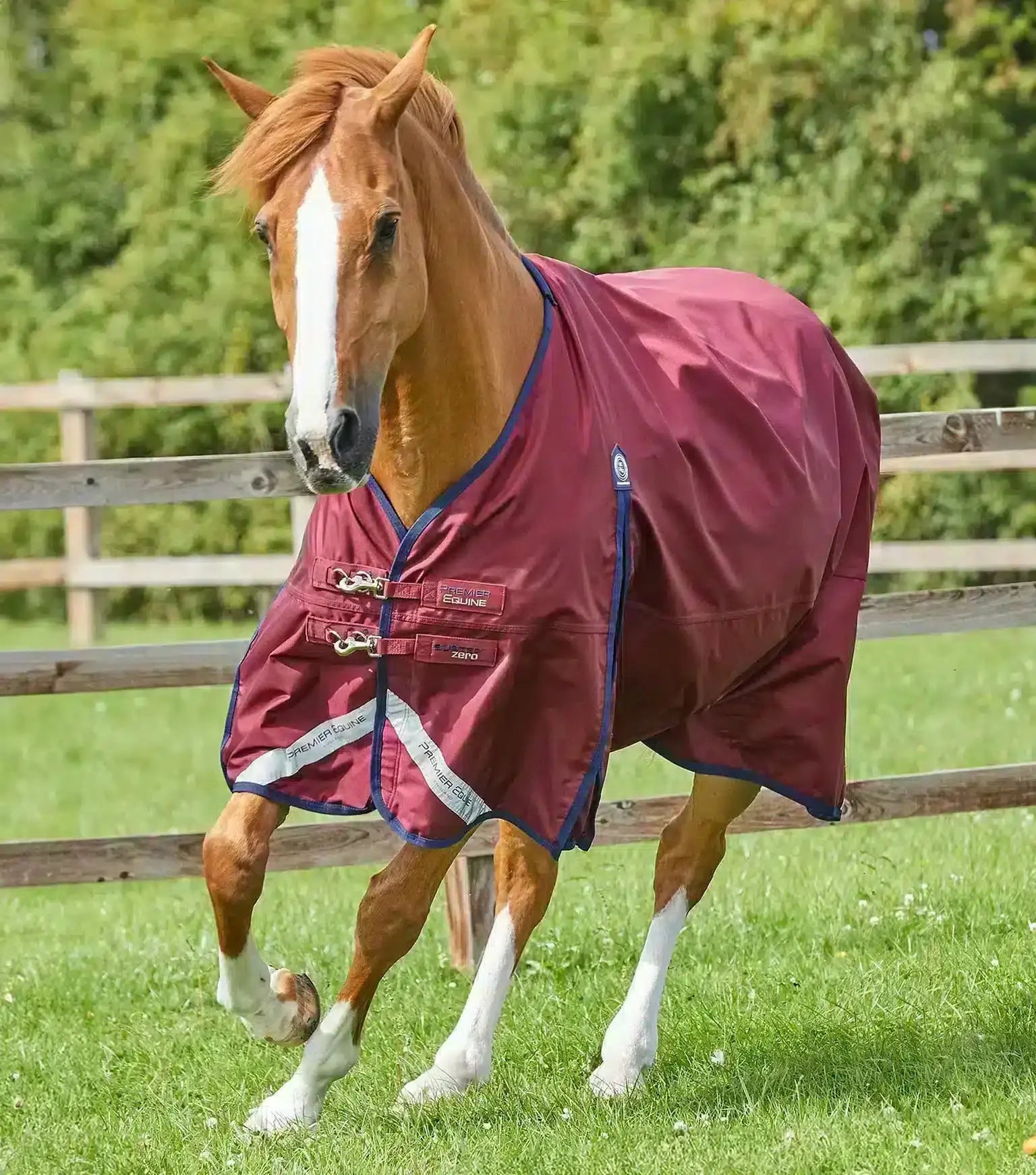 Premier Equine Buster Zero Original Turnout Rug by Premier Equine at Try a Bit