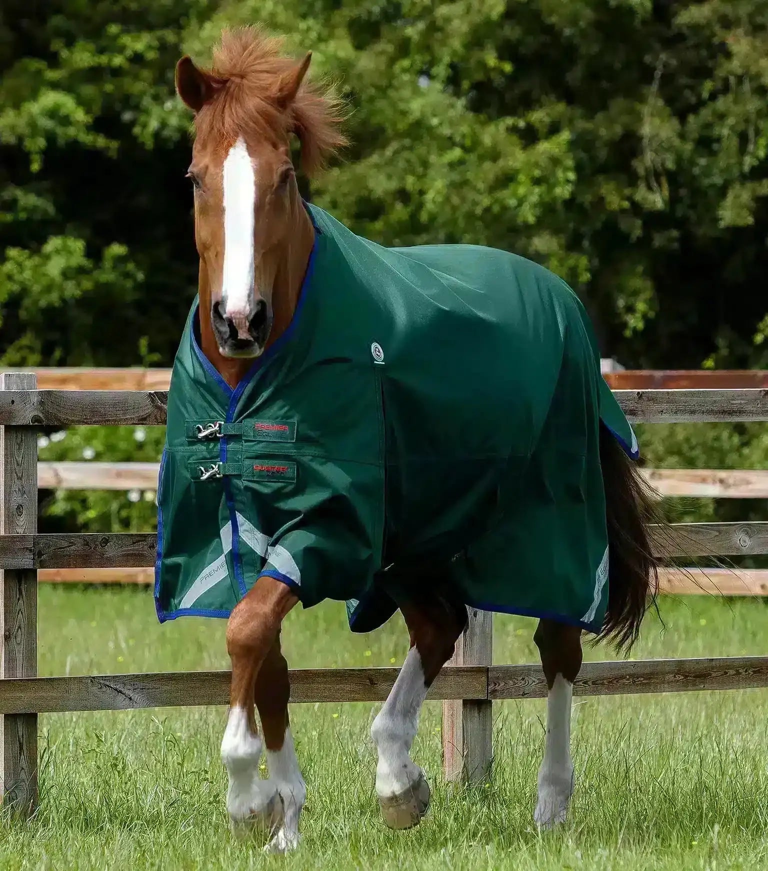 Premier Equine Buster Zero Original Turnout Rug by Premier Equine at Try a Bit
