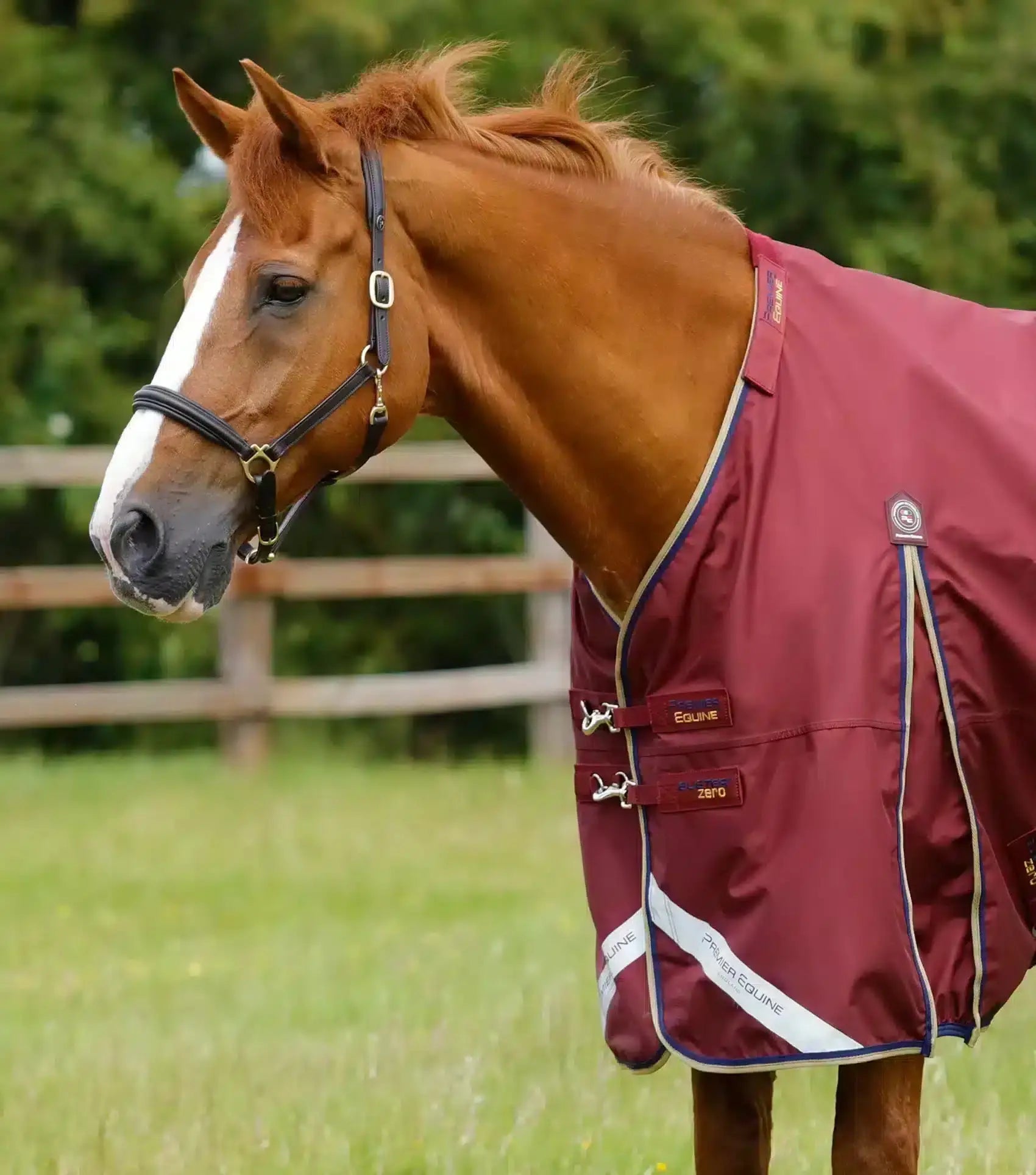 Premier Equine Buster Zero Turnout Rug with Classic Neck Cover by Premier Equine at Try a Bit