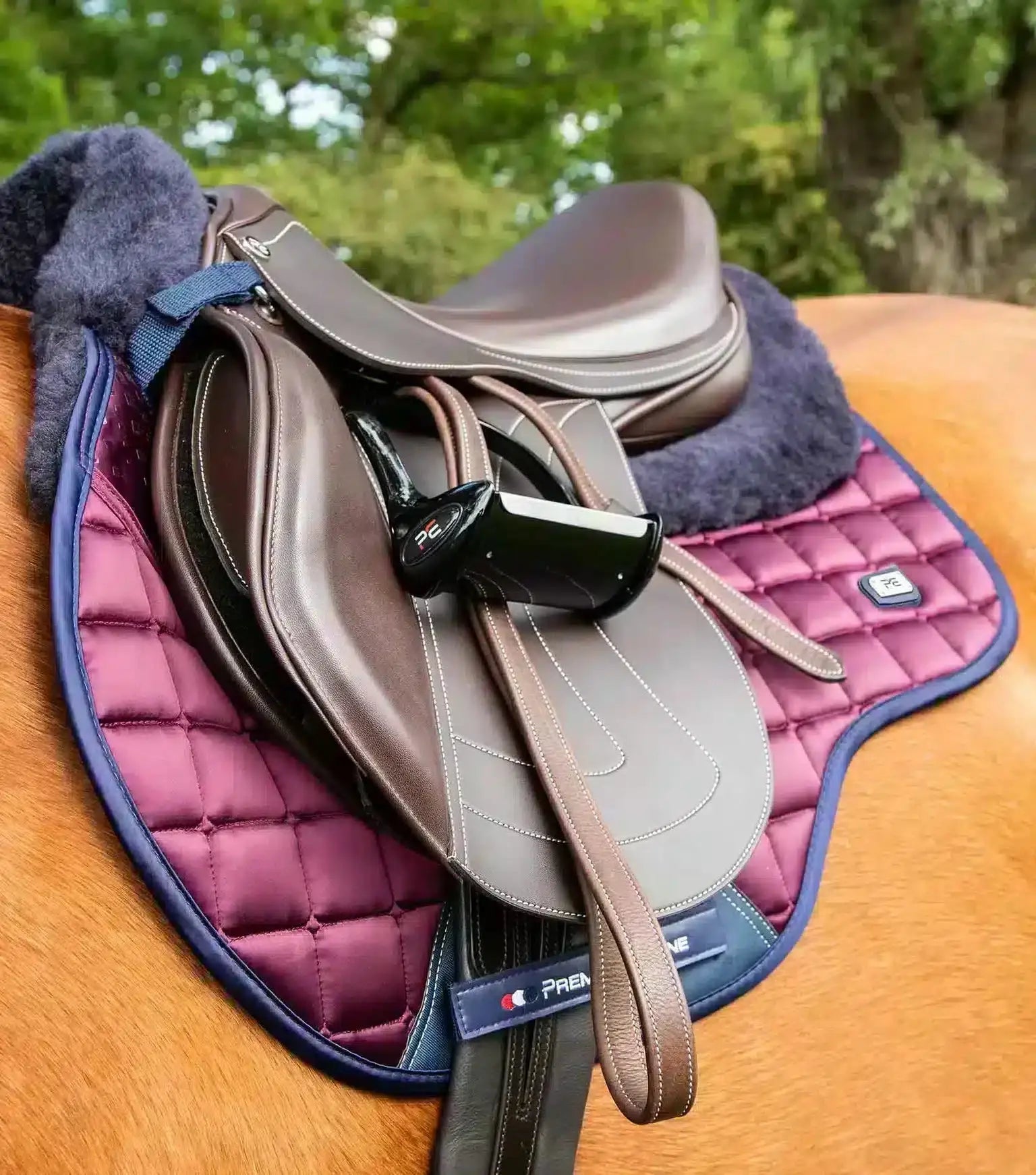 Premier Equine Capella Close Contact Merino Wool GP/Jump Square by Premier Equine at Try a Bit