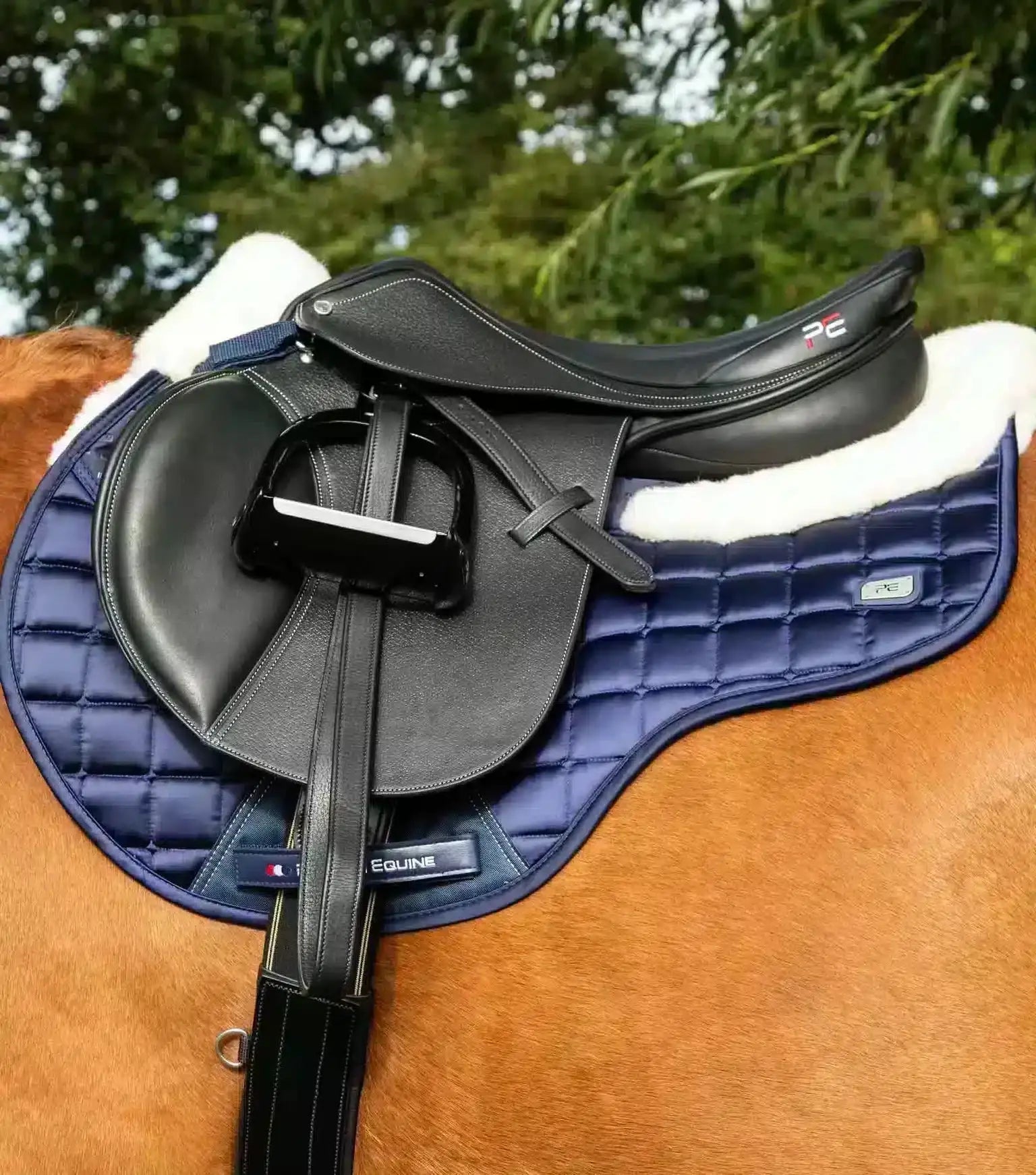 Premier Equine Capella Close Contact Merino Wool GP/Jump Square by Premier Equine at Try a Bit