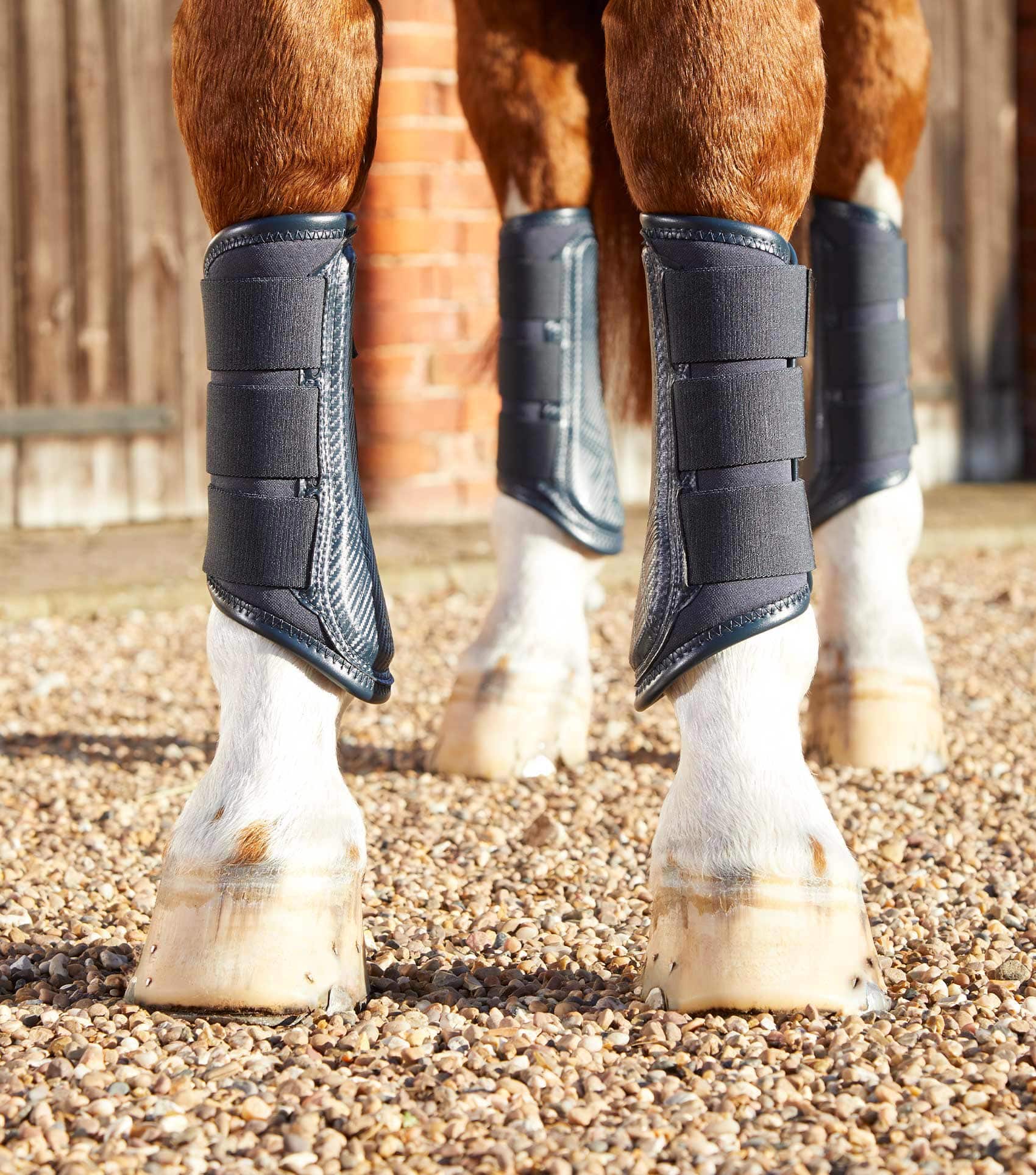 Premier Equine Carbon Air-Tech Single Locking Brushing Boots by Premier Equine at Try a Bit