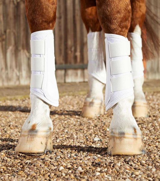 Premier Equine Carbon Air-Tech Single Locking Brushing Boots by Premier Equine at  Try A Bit