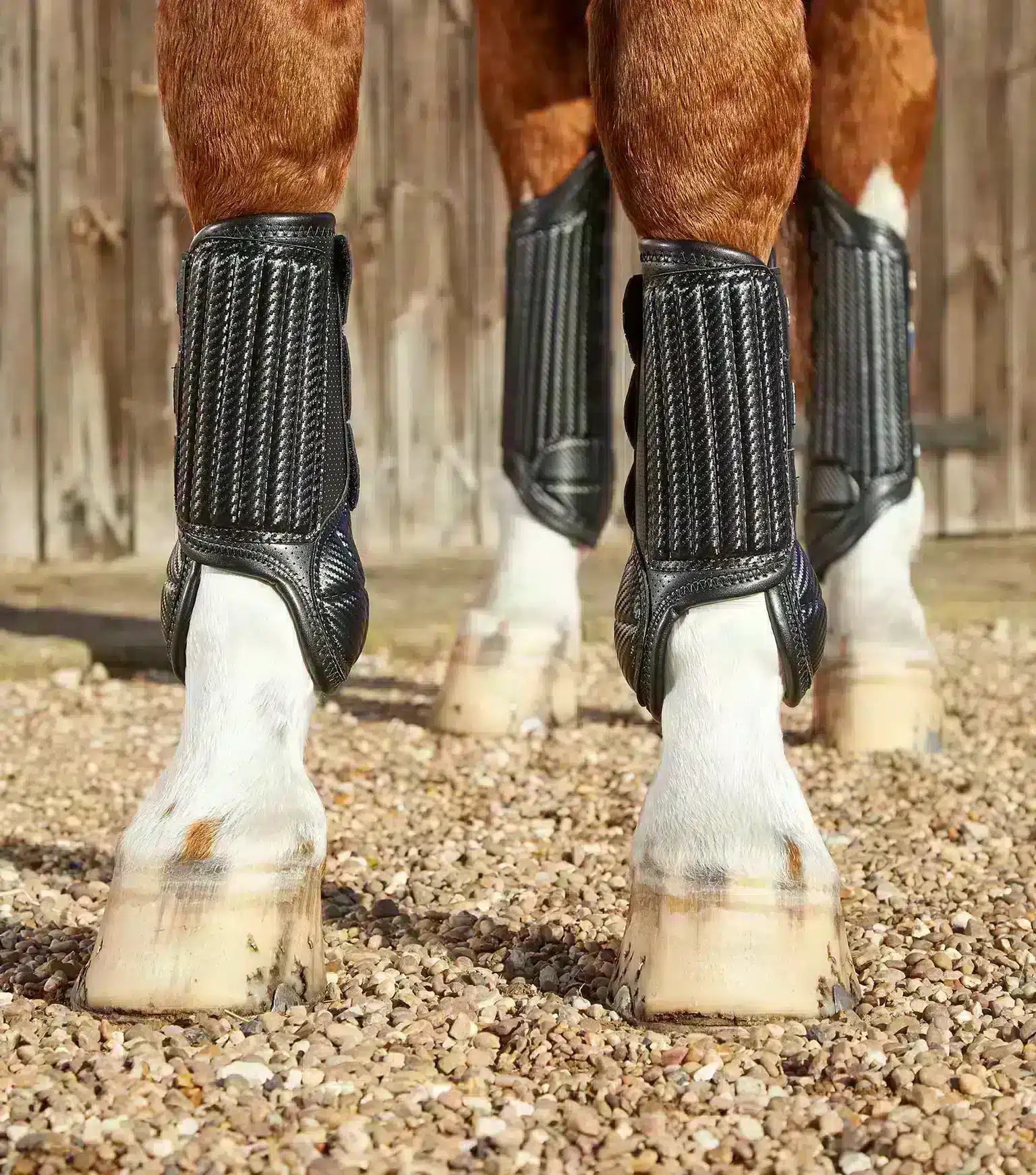 Premier Equine Carbon Tech Air Flex Eventing Boots by Premier Equine at Try a Bit