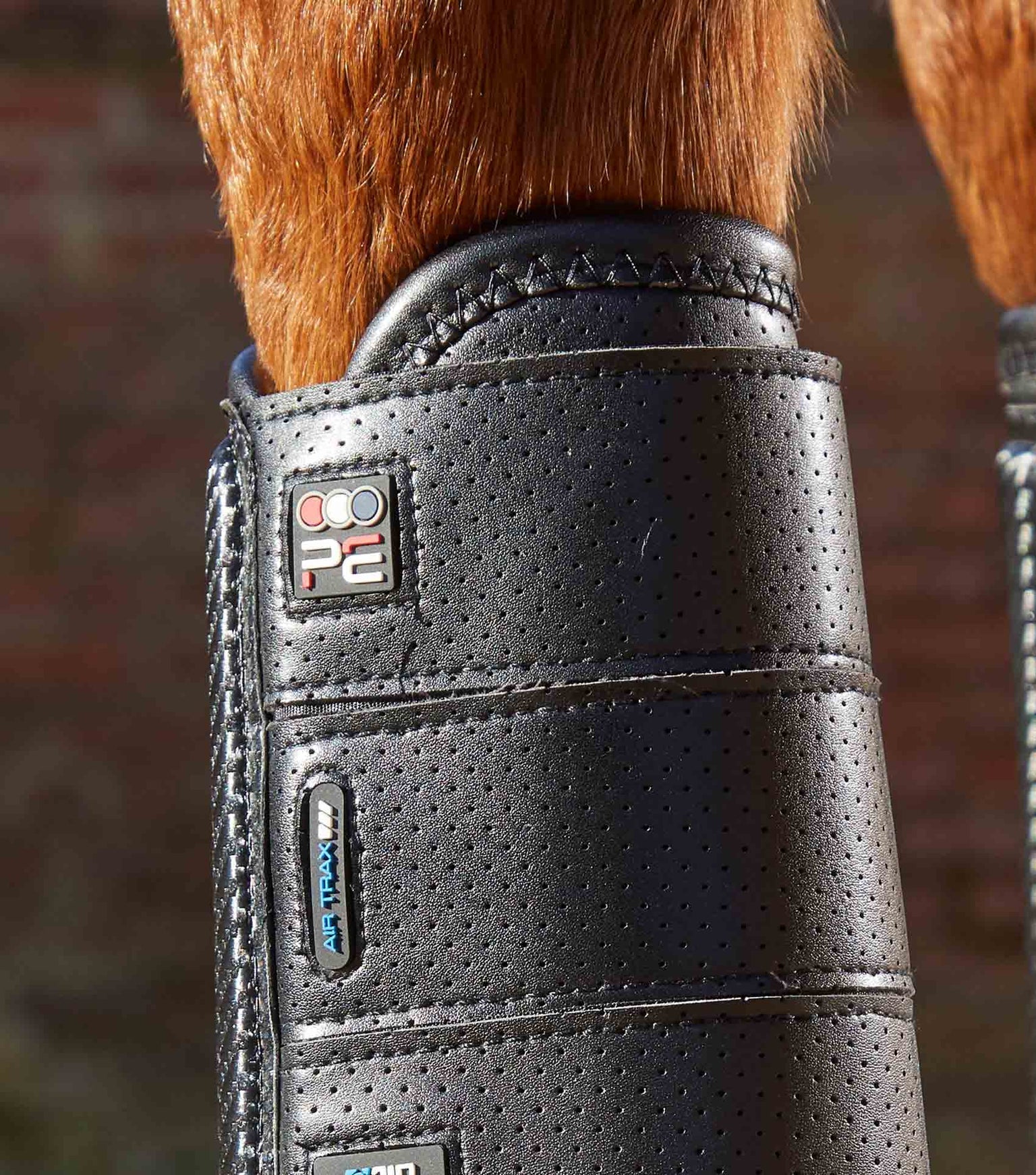 Premier Equine Carbon Tech Air Flex Eventing Boots by Premier Equine at Try a Bit