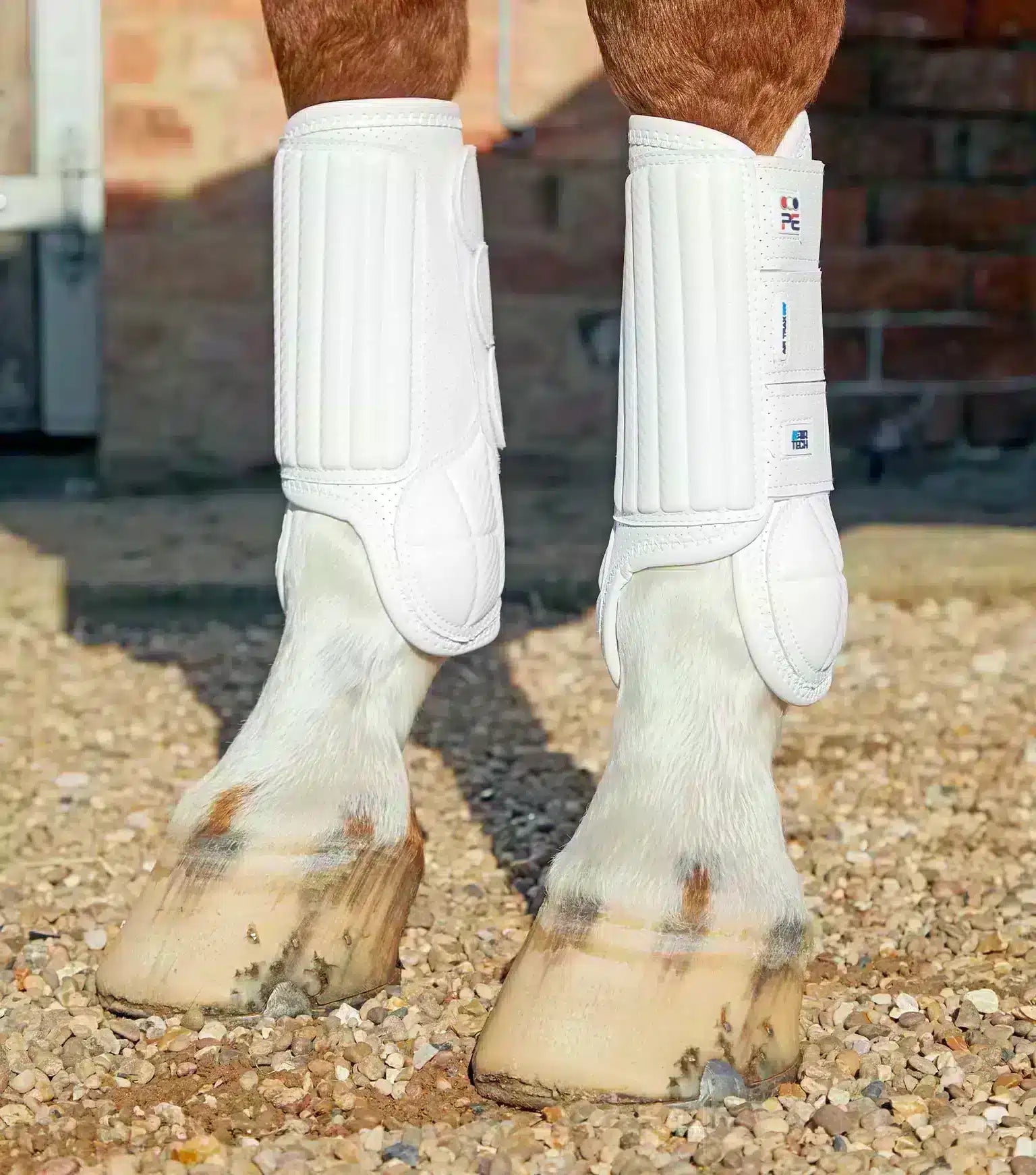 Premier Equine Carbon Tech Air Flex Eventing Boots by Premier Equine at Try a Bit