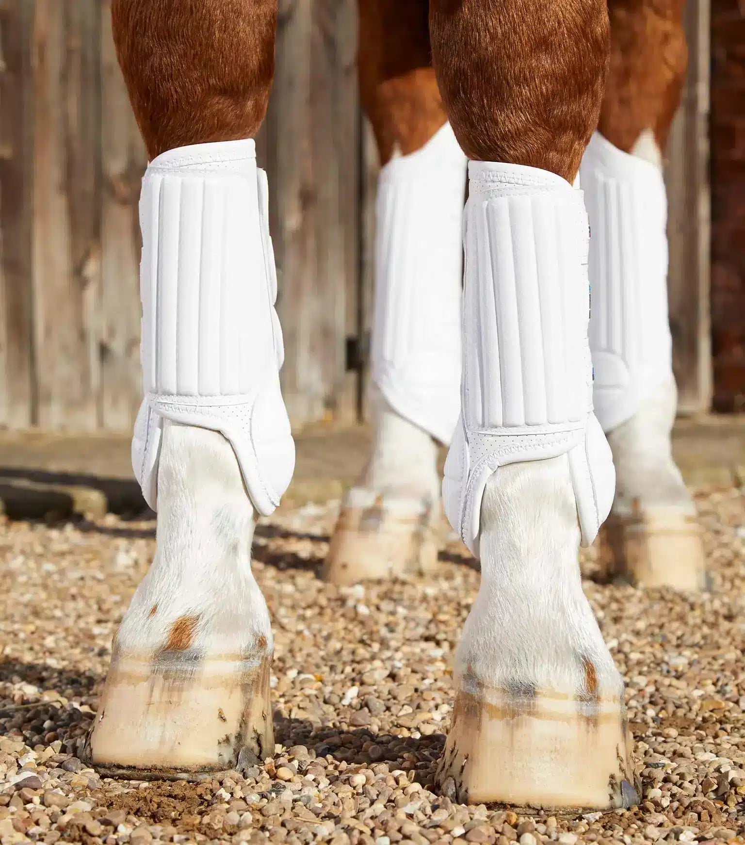 Premier Equine Carbon Tech Air Flex Eventing Boots by Premier Equine at Try a Bit
