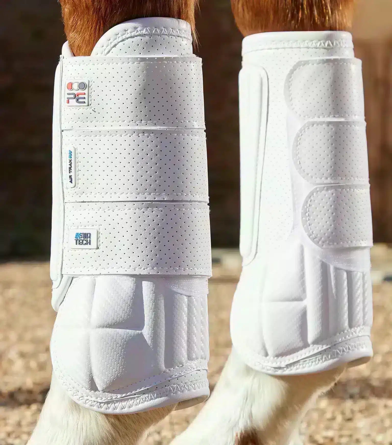 Premier Equine Carbon Tech Air Flex Eventing Boots by Premier Equine at Try a Bit