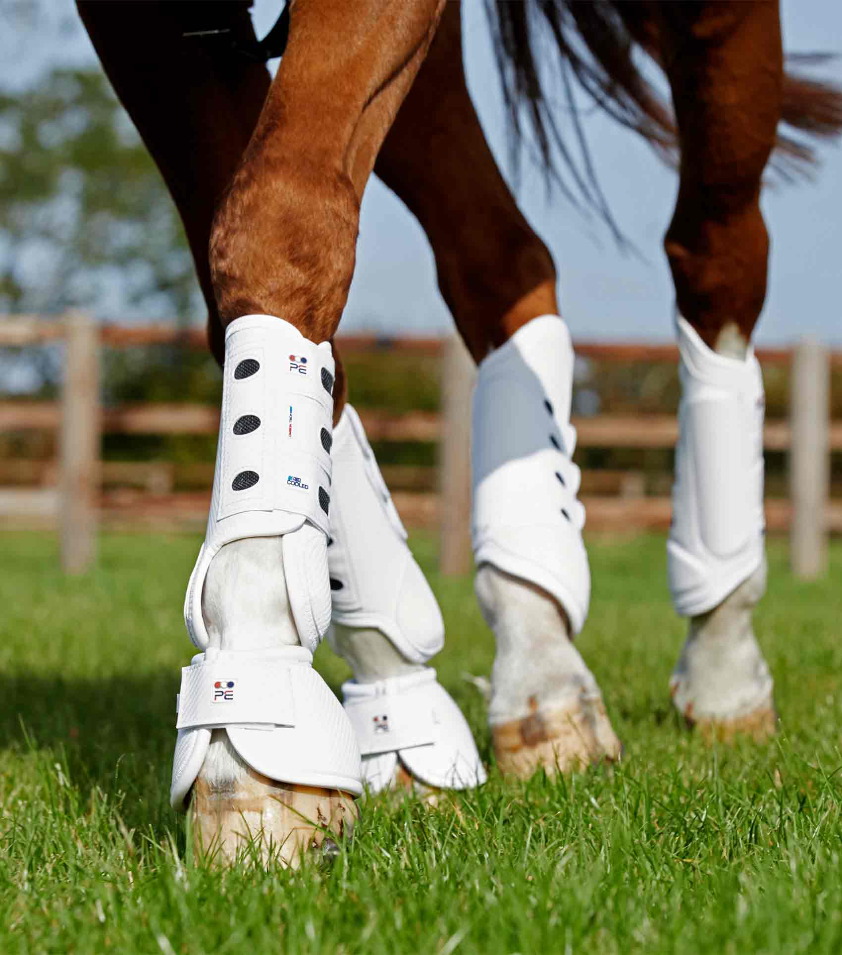 Premier Equine Carbon Tech Kevlar No-Turn Over Reach Boots by Premier Equine at Try A Bit