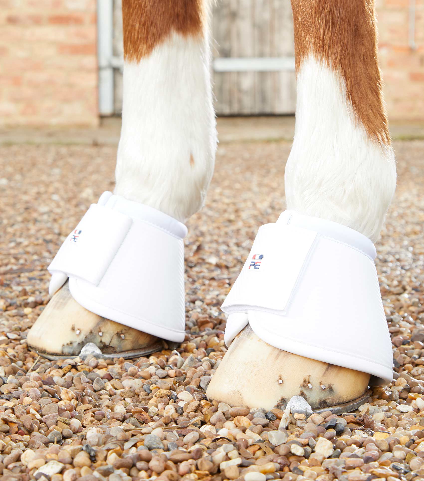 Premier Equine Carbon Wrap Over Reach Boots by Premier Equine at Try a Bit