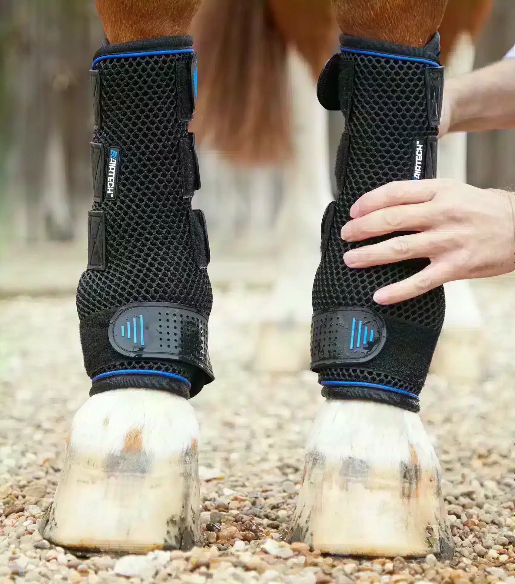 Premier Equine Cold Water Compression Boots by Premier Equine at Try a Bit